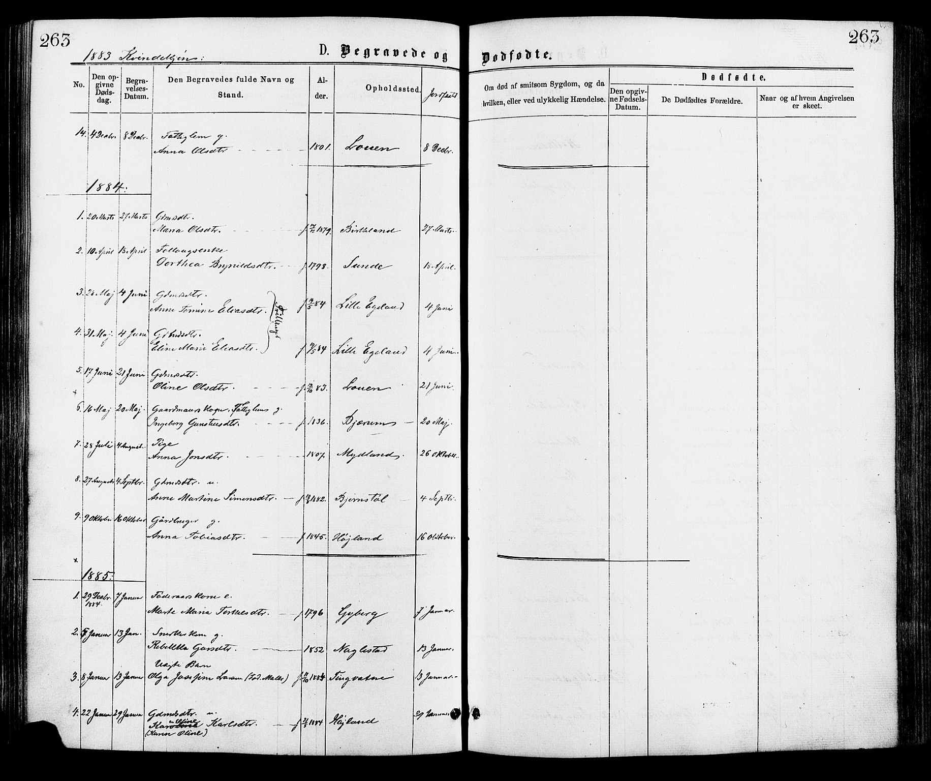 Hægebostad sokneprestkontor, AV/SAK-1111-0024/F/Fa/Faa/L0005: Parish register (official) no. A 5, 1864-1886, p. 263