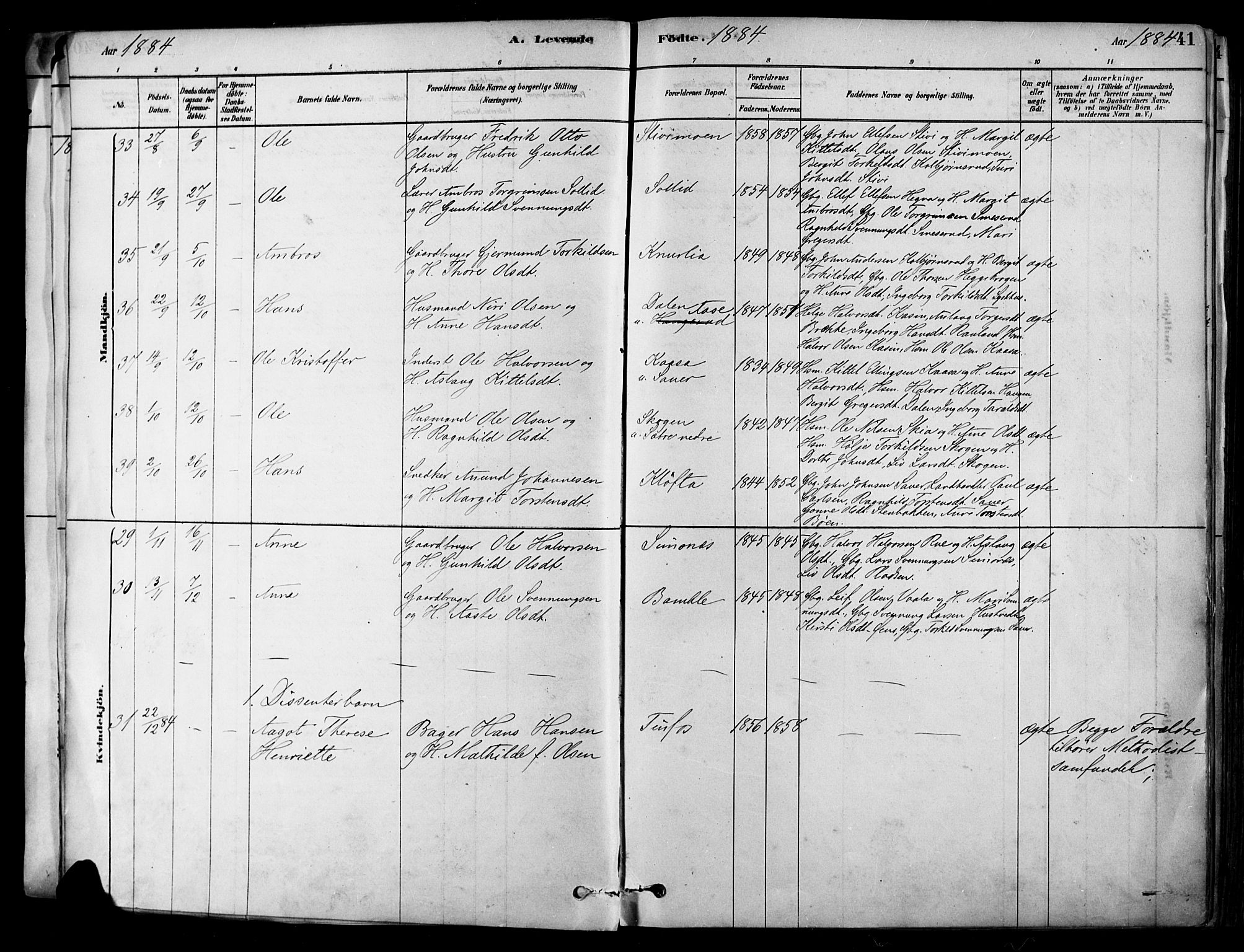 Heddal kirkebøker, AV/SAKO-A-268/F/Fa/L0008: Parish register (official) no. I 8, 1878-1903, p. 41