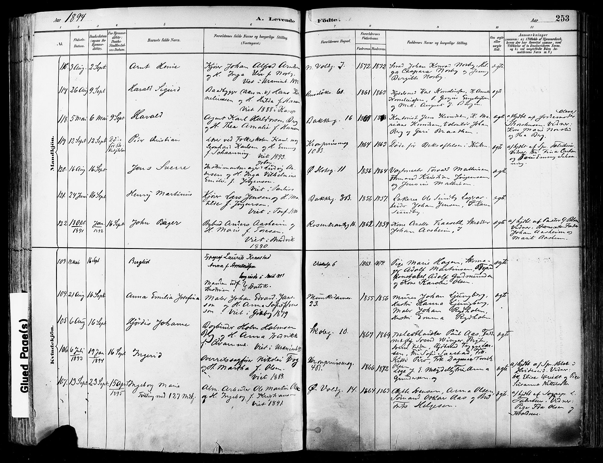 Johannes prestekontor Kirkebøker, AV/SAO-A-10852/F/Fa/L0003: Parish register (official) no. 3, 1882-1896, p. 253