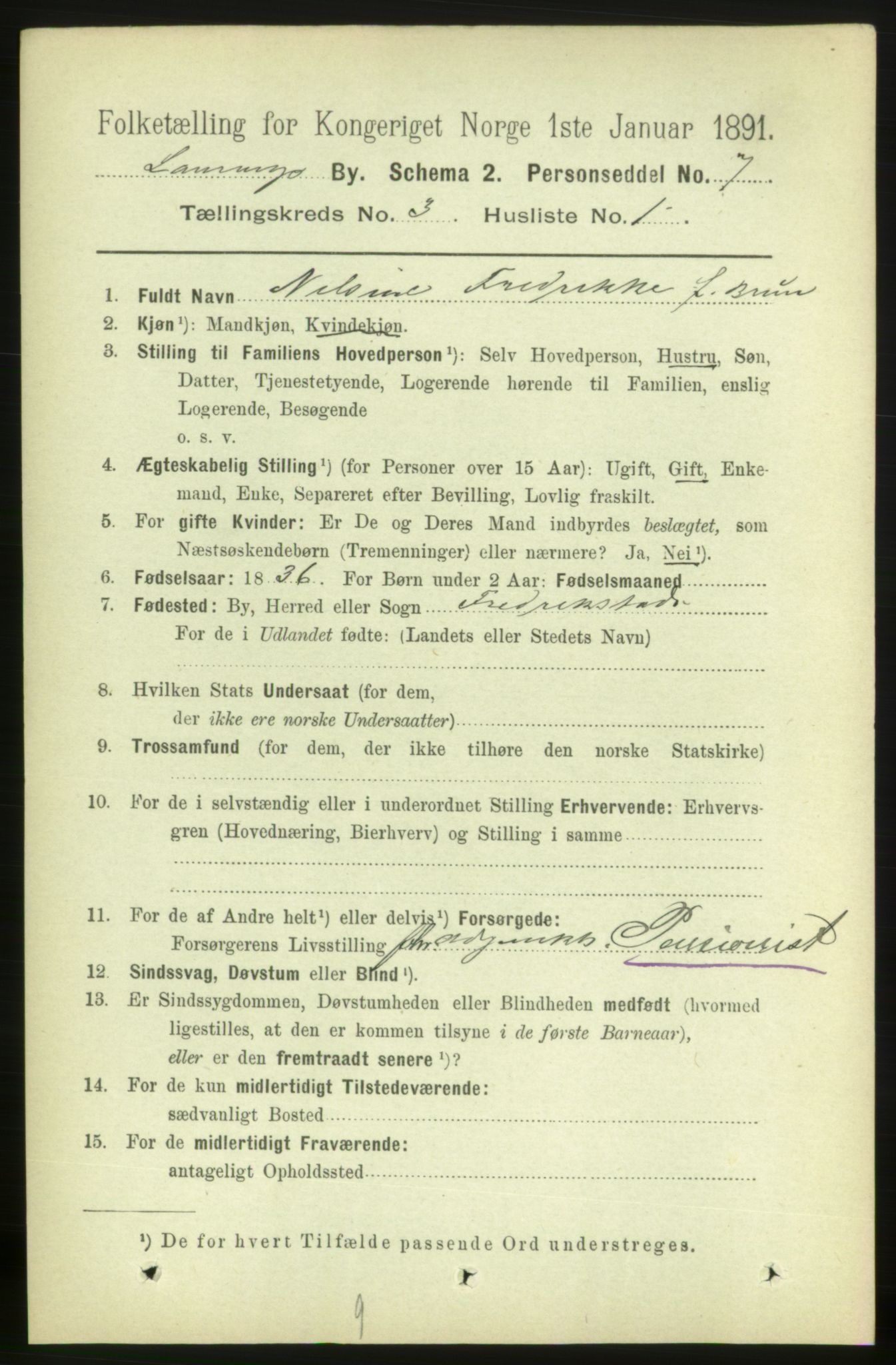 RA, 1891 census for 0707 Larvik, 1891, p. 4128