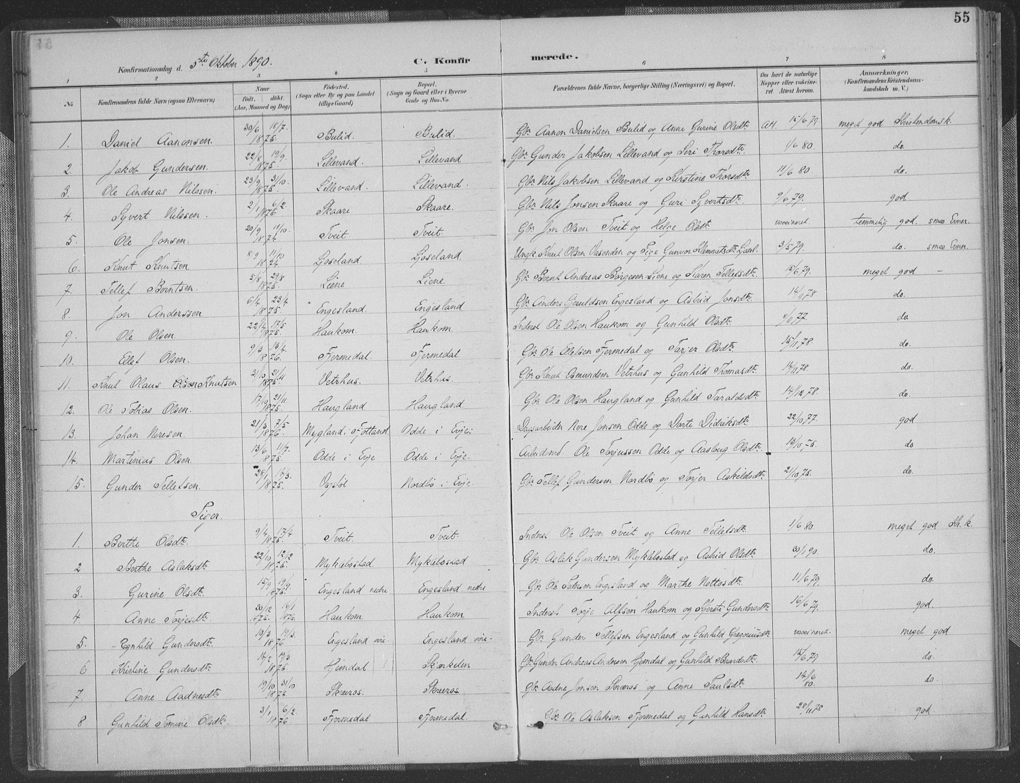 Herefoss sokneprestkontor, SAK/1111-0019/F/Fa/Fab/L0004: Parish register (official) no. A 4, 1887-1909, p. 55