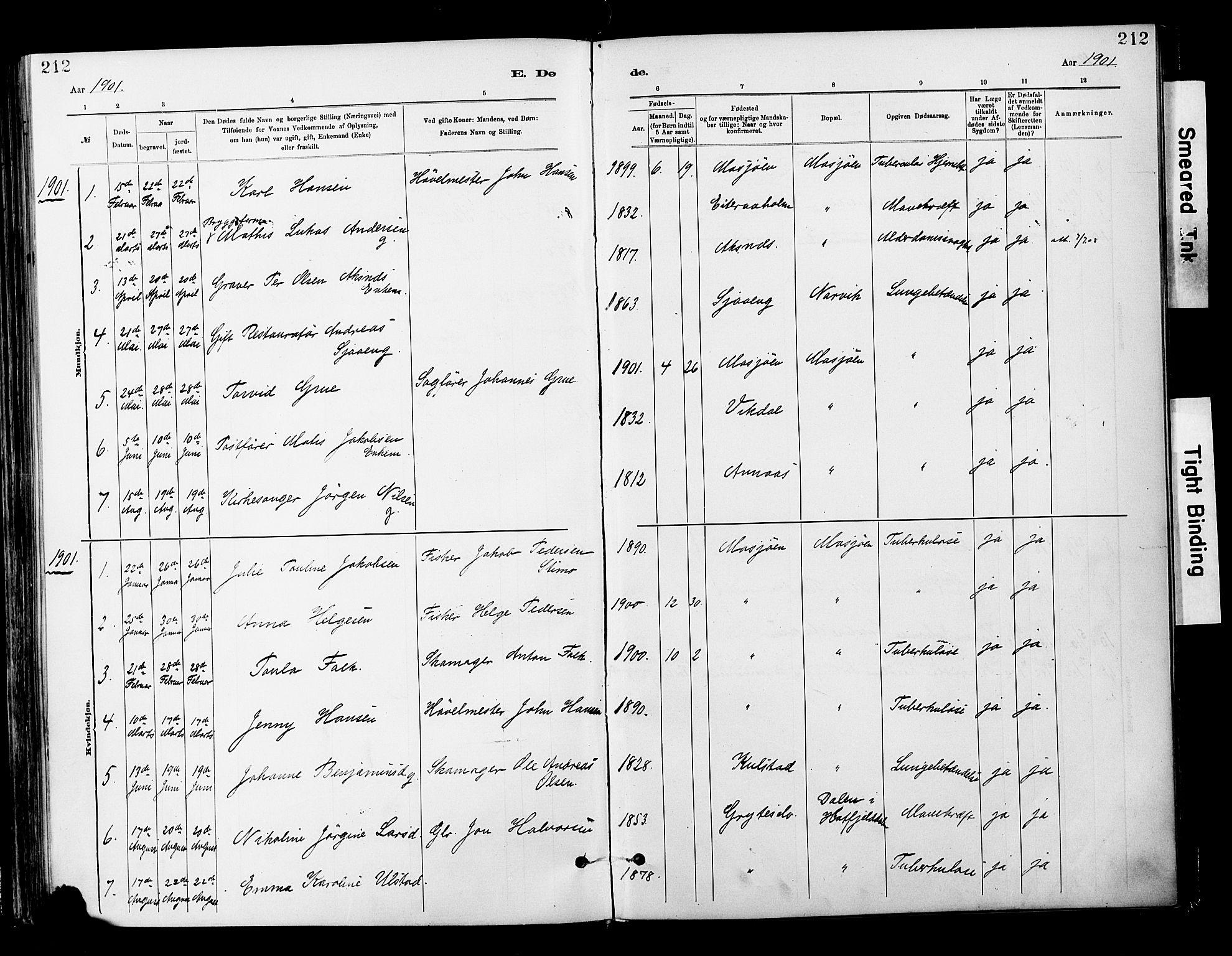 Ministerialprotokoller, klokkerbøker og fødselsregistre - Nordland, SAT/A-1459/820/L0296: Parish register (official) no. 820A17, 1880-1903, p. 212