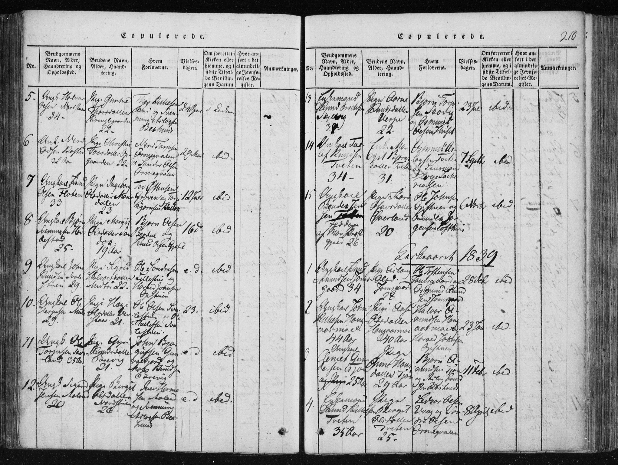 Vinje kirkebøker, SAKO/A-312/F/Fa/L0003: Parish register (official) no. I 3, 1814-1843, p. 210