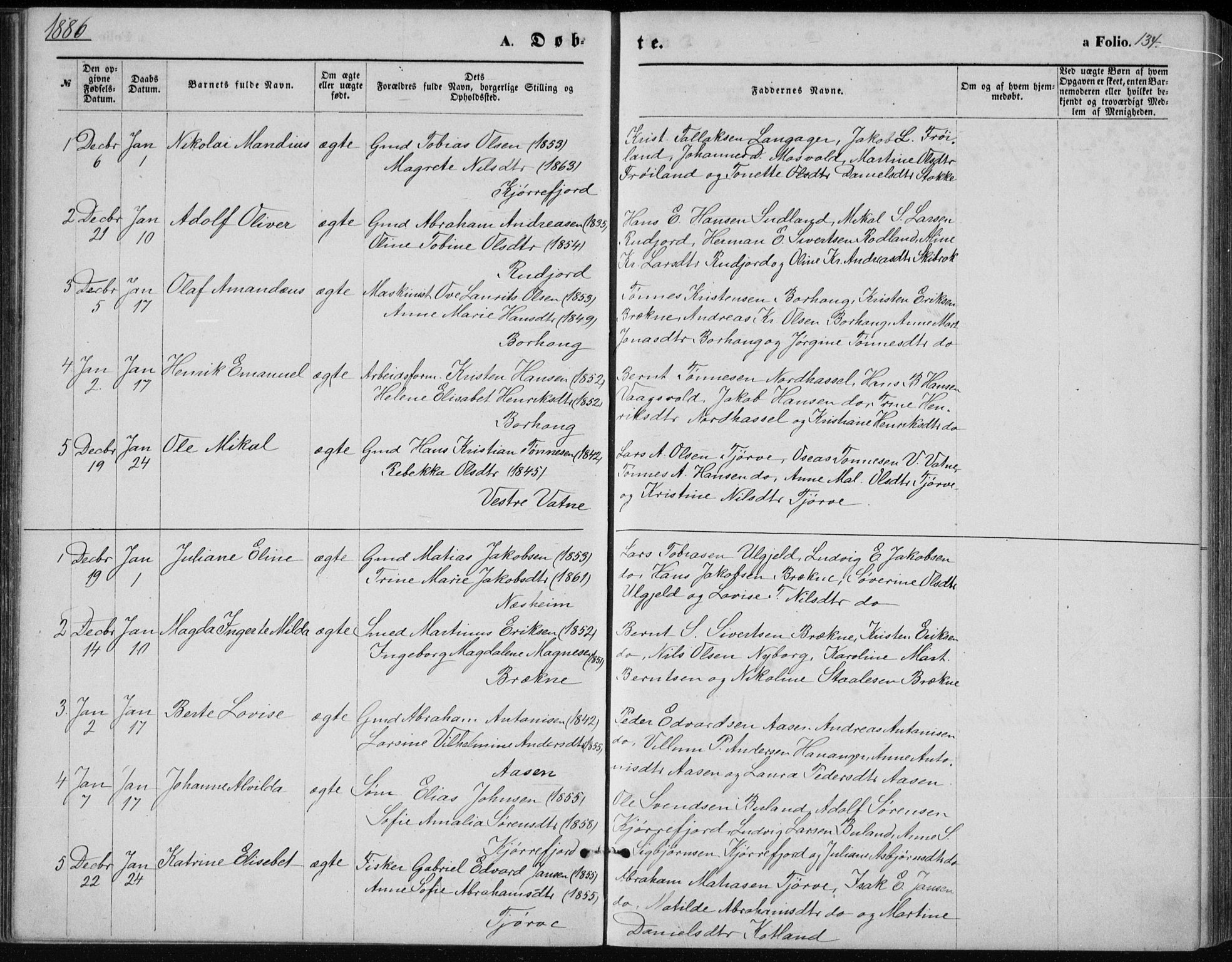 Lista sokneprestkontor, AV/SAK-1111-0027/F/Fb/L0004: Parish register (copy) no. B 4, 1877-1891, p. 134