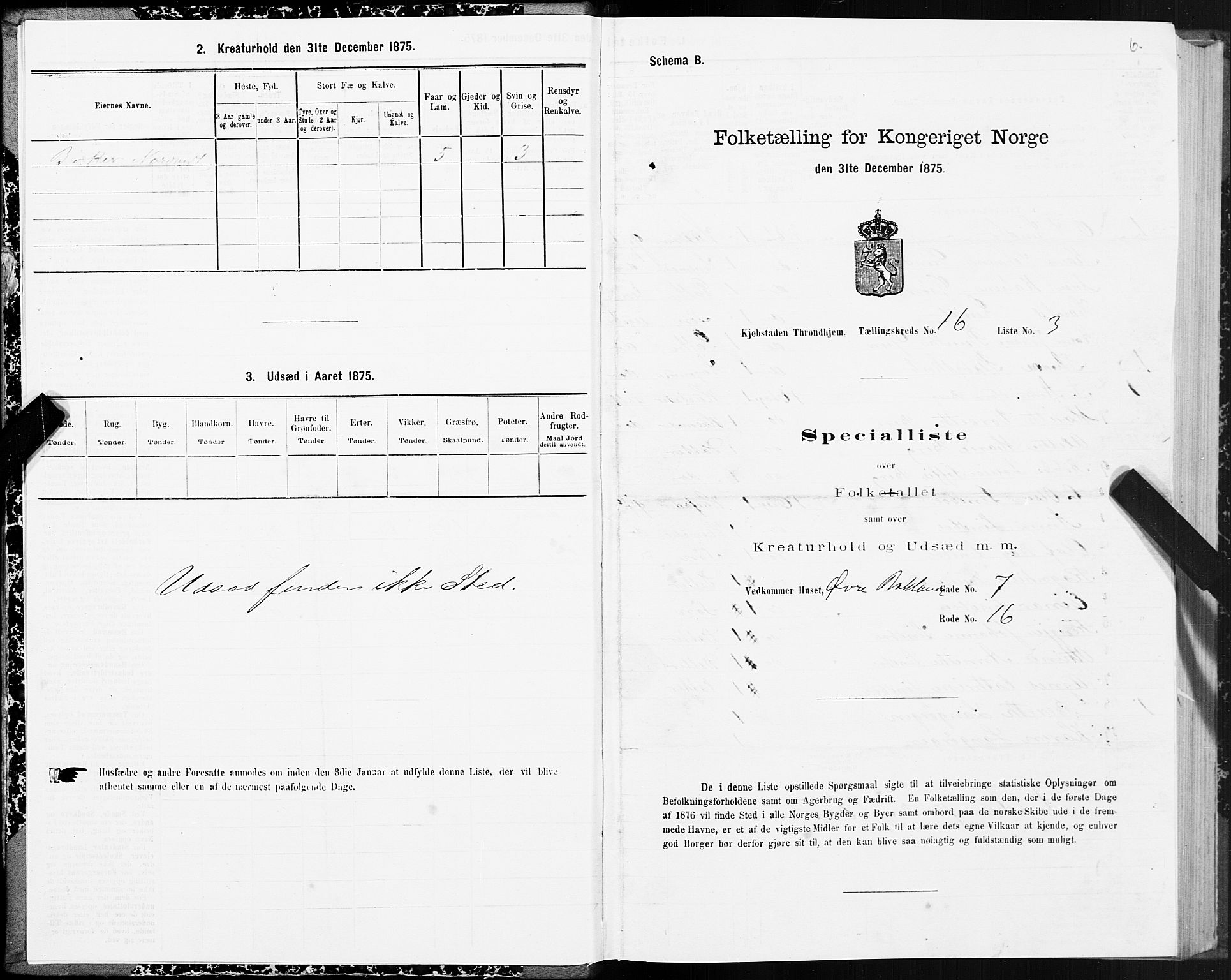 SAT, 1875 census for 1601 Trondheim, 1875, p. 9006