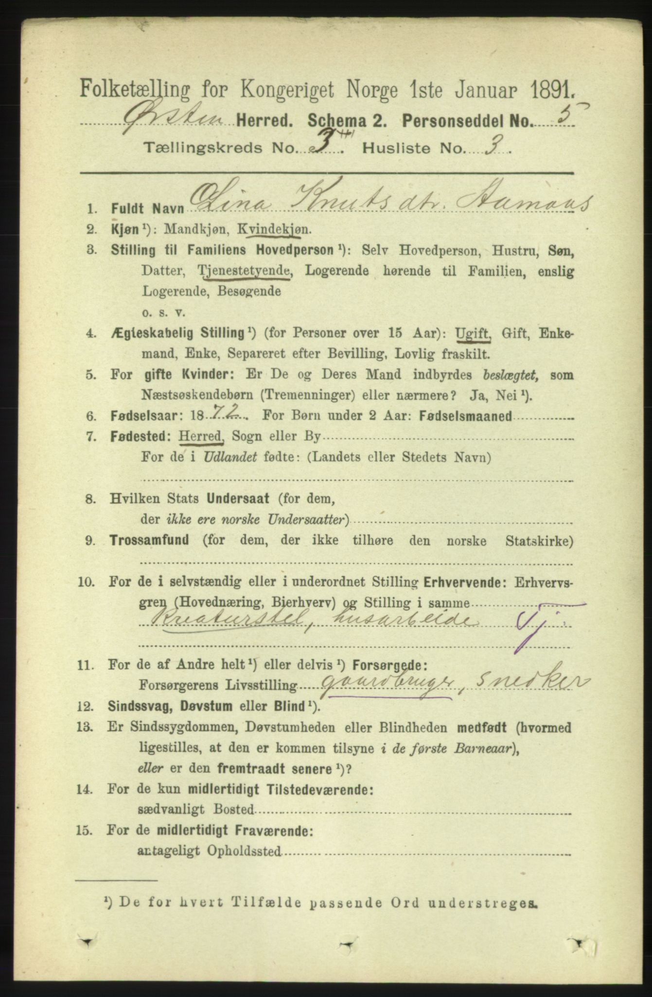 RA, 1891 census for 1520 Ørsta, 1891, p. 1226