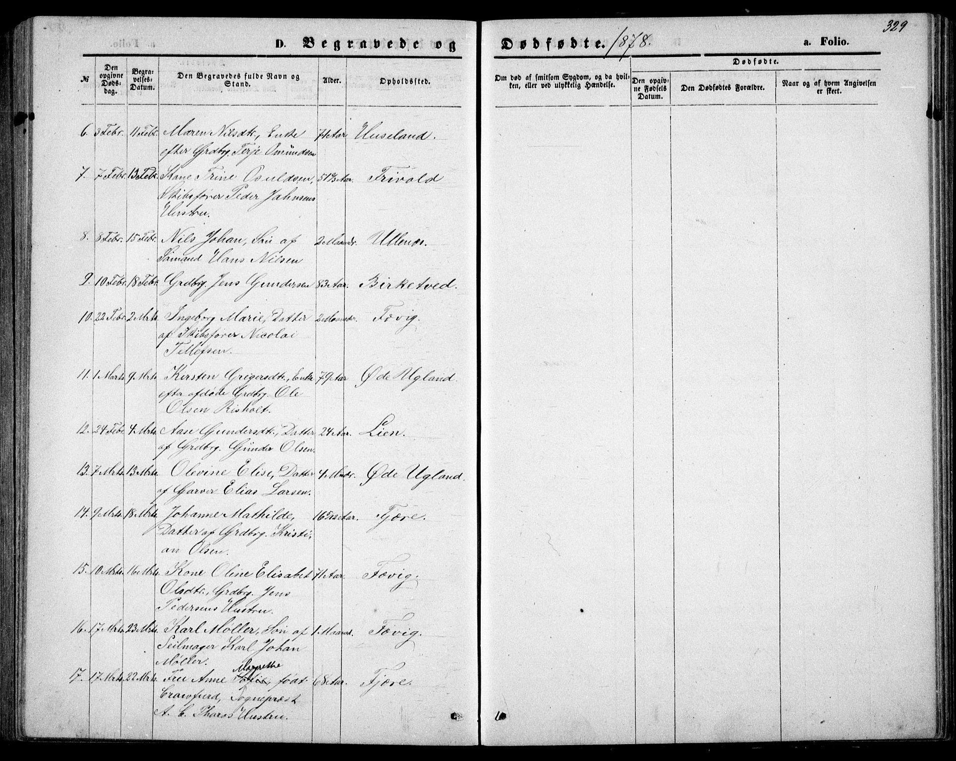 Fjære sokneprestkontor, AV/SAK-1111-0011/F/Fb/L0010: Parish register (copy) no. B 10, 1871-1880, p. 329