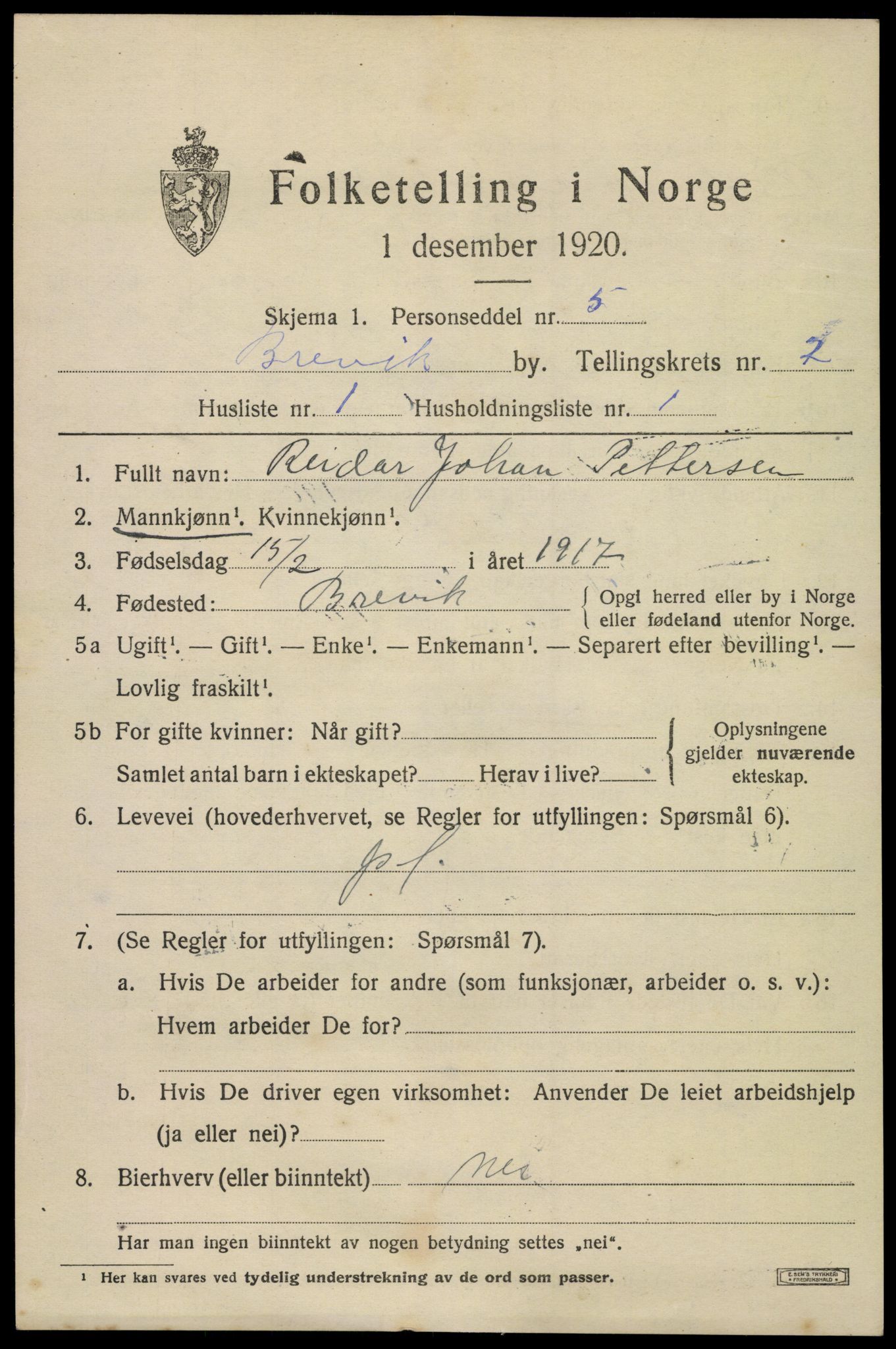 SAKO, 1920 census for Brevik, 1920, p. 3876