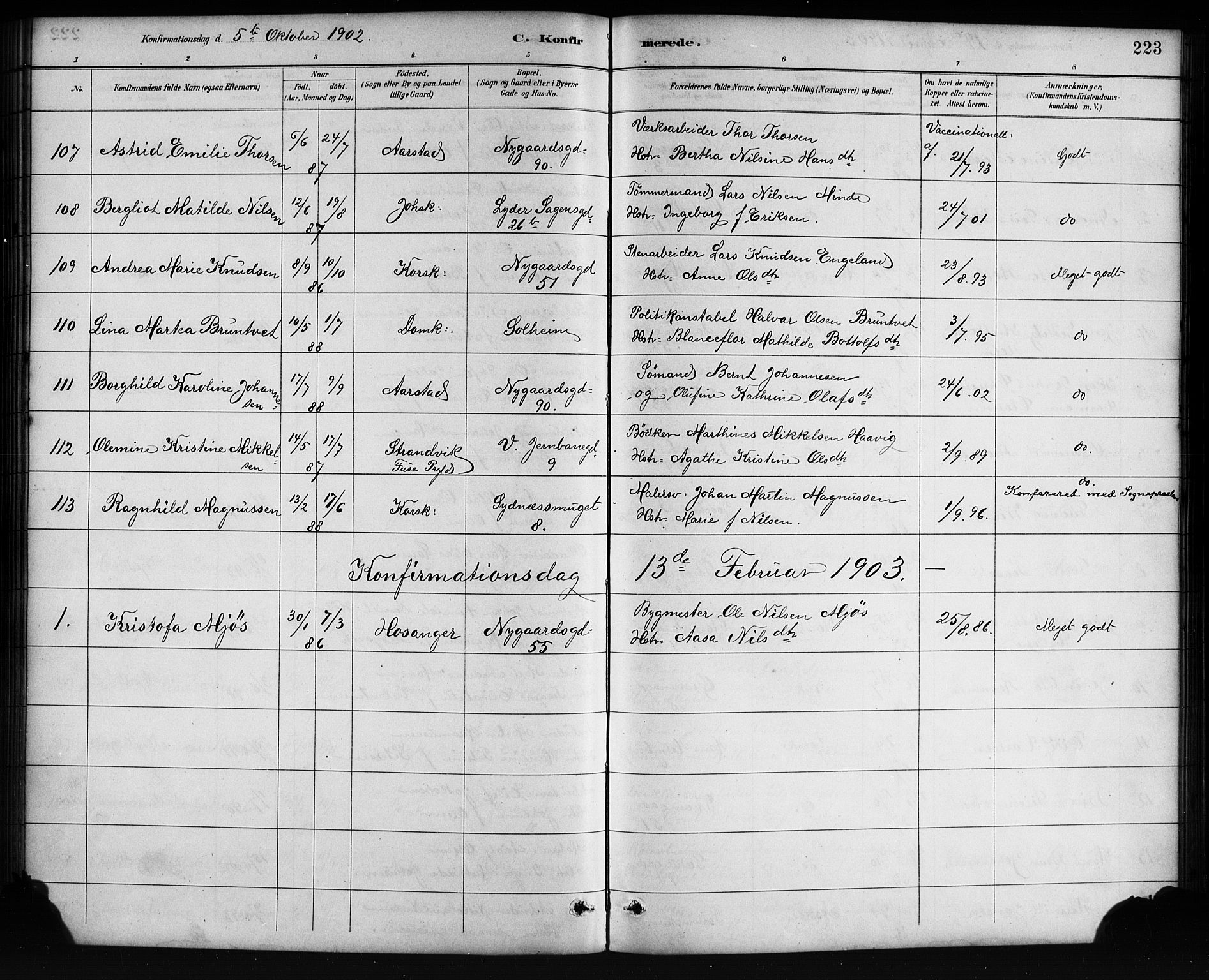 Johanneskirken sokneprestembete, SAB/A-76001/H/Hab: Parish register (copy) no. B 1, 1885-1907, p. 223