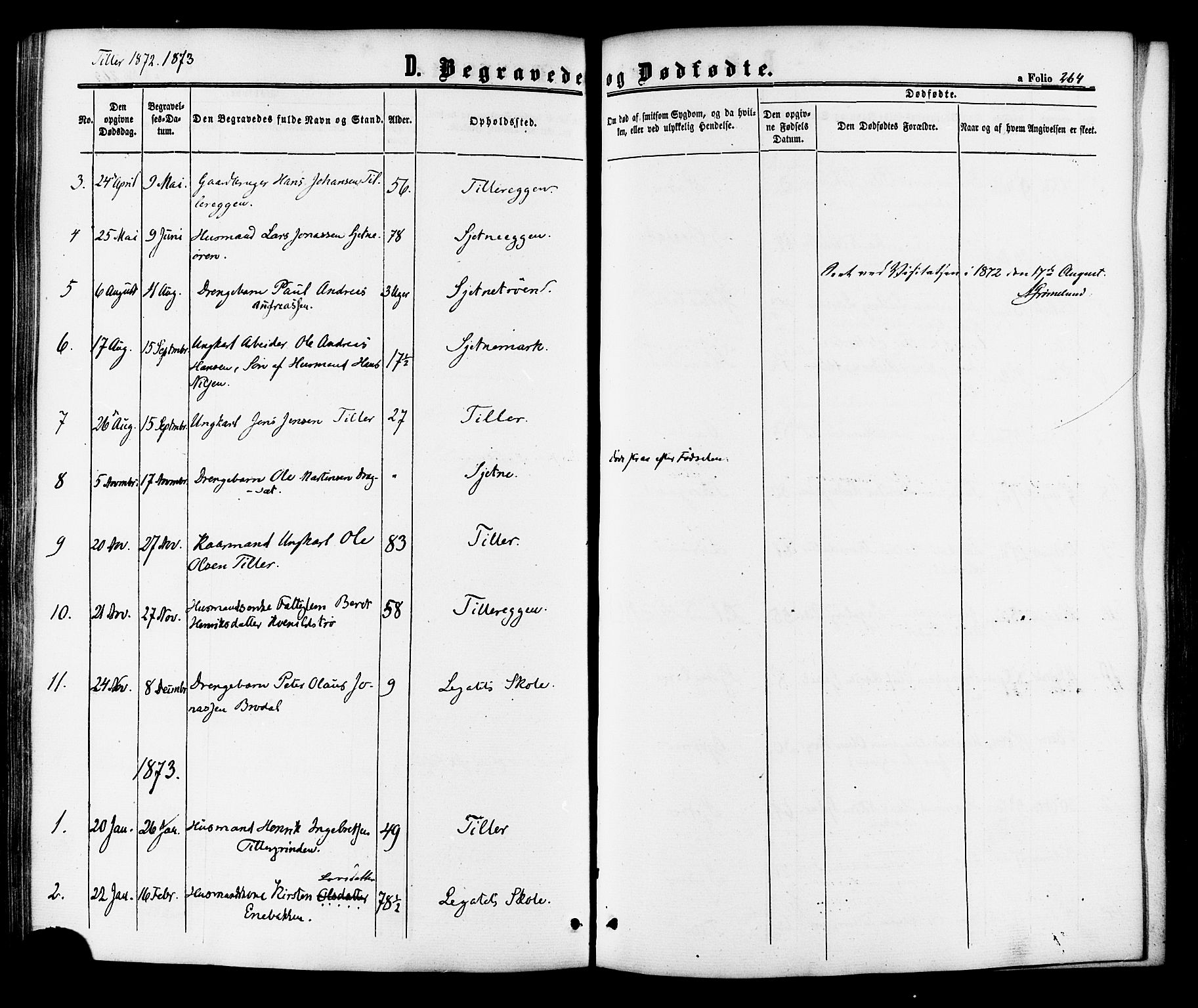 Ministerialprotokoller, klokkerbøker og fødselsregistre - Sør-Trøndelag, SAT/A-1456/618/L0443: Parish register (official) no. 618A06 /2, 1863-1879, p. 264