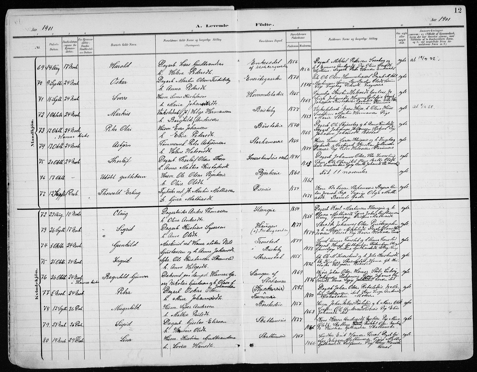 Vang prestekontor, Hedmark, AV/SAH-PREST-008/H/Ha/Haa/L0021: Parish register (official) no. 21, 1902-1917, p. 12