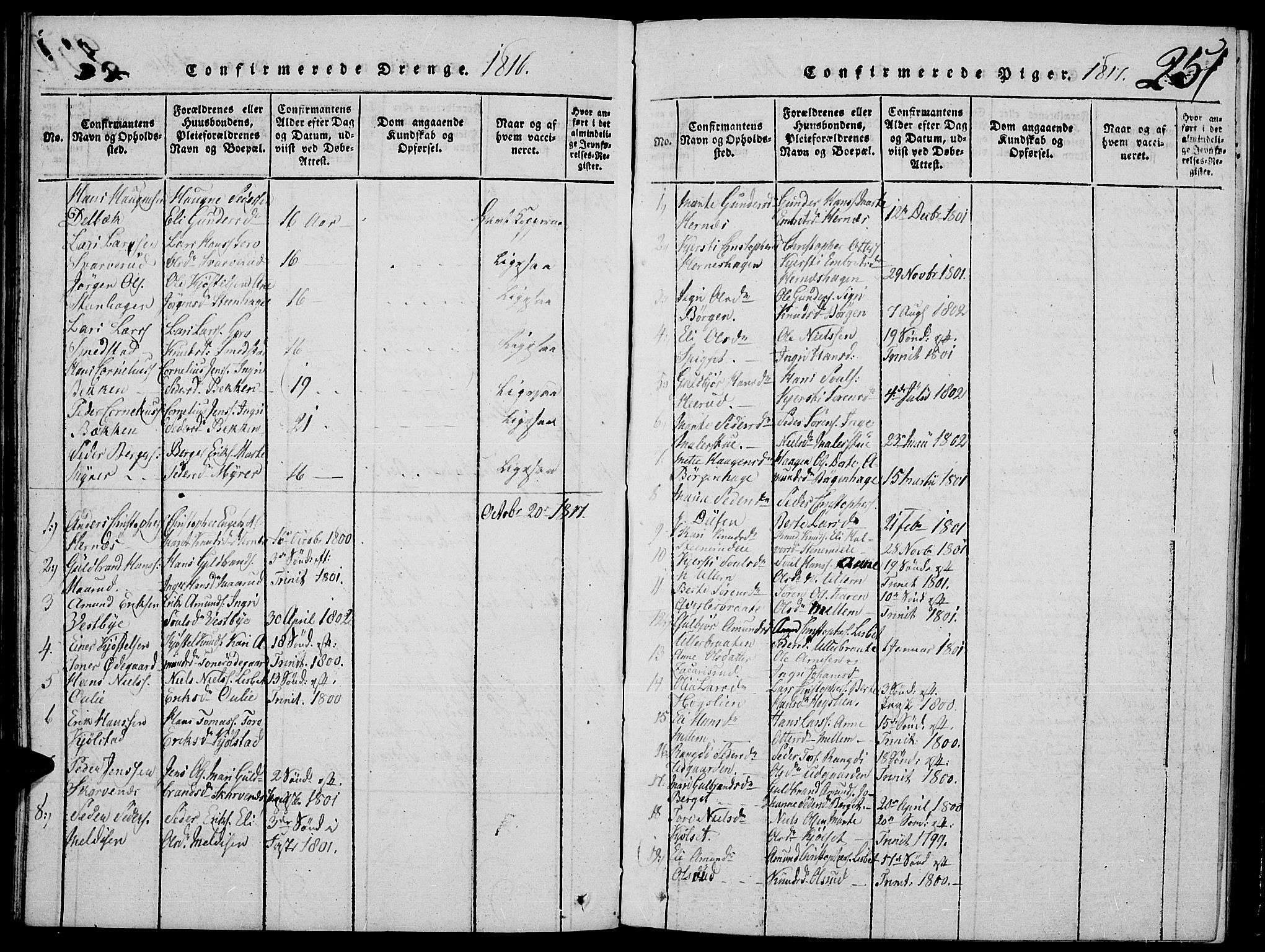 Strøm-Odalen prestekontor, SAH/PREST-028/H/Ha/Hab/L0001: Parish register (copy) no. 1, 1813-1825, p. 251
