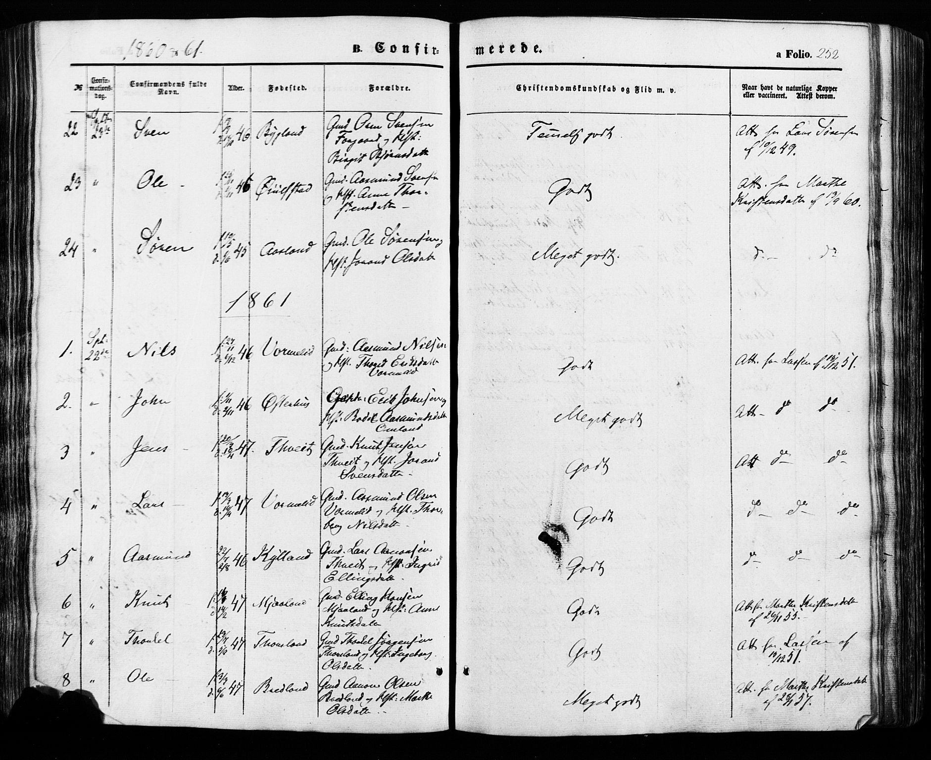 Åseral sokneprestkontor, SAK/1111-0051/F/Fa/L0002: Parish register (official) no. A 2, 1854-1884, p. 252