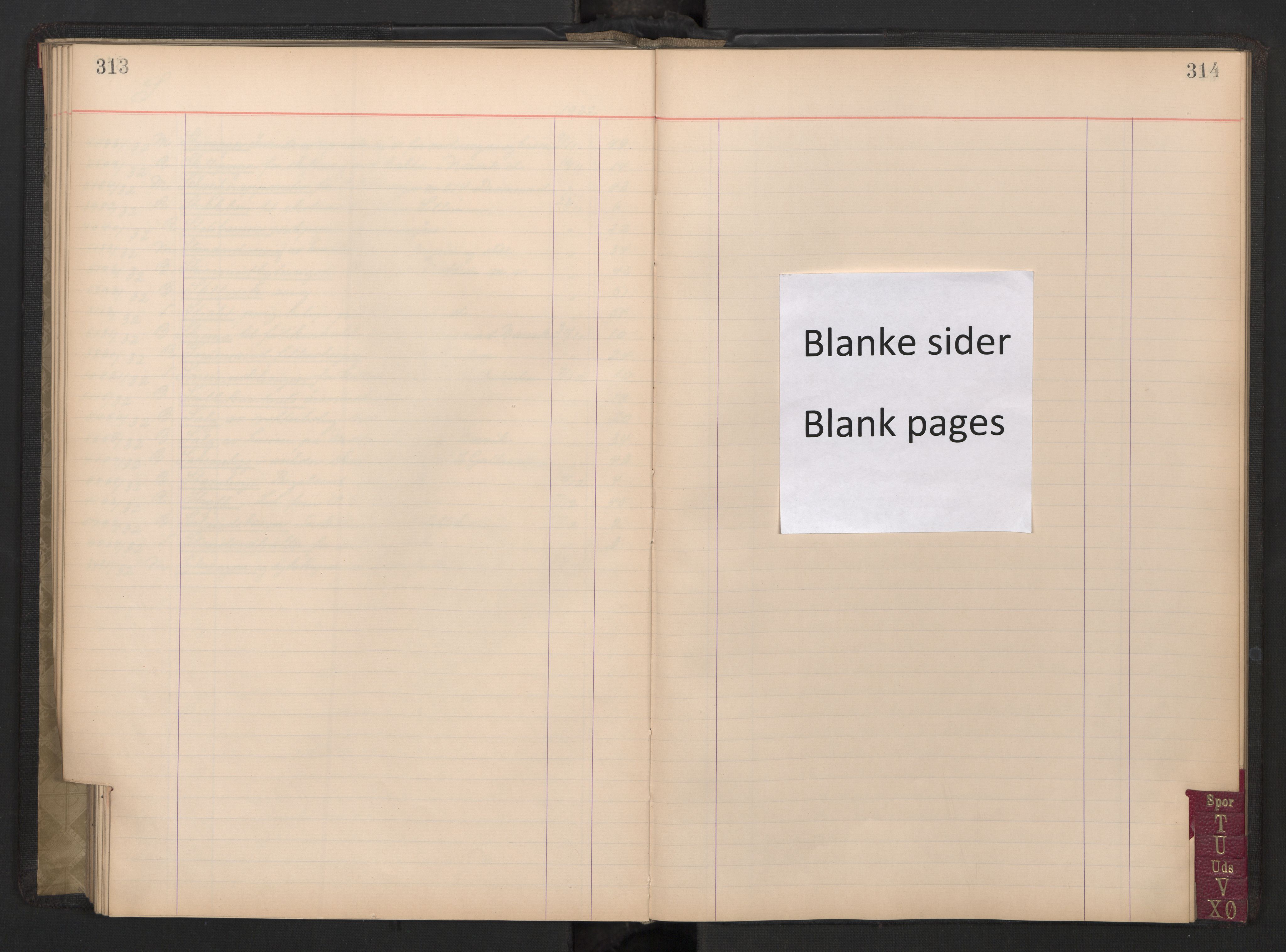 Norges statsbaner, Administrasjons- økonomi- og personalavdelingen, AV/RA-S-3412/A/Aa/L0038: Register til forhandlingsprotokoll, 1929-1932, p. 313-314