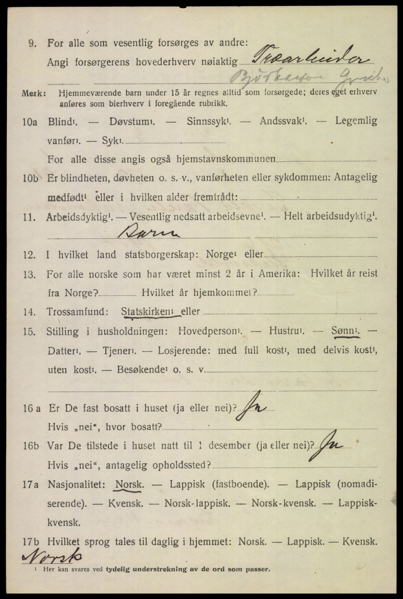 SAT, 1920 census for Tjeldsund, 1920, p. 505