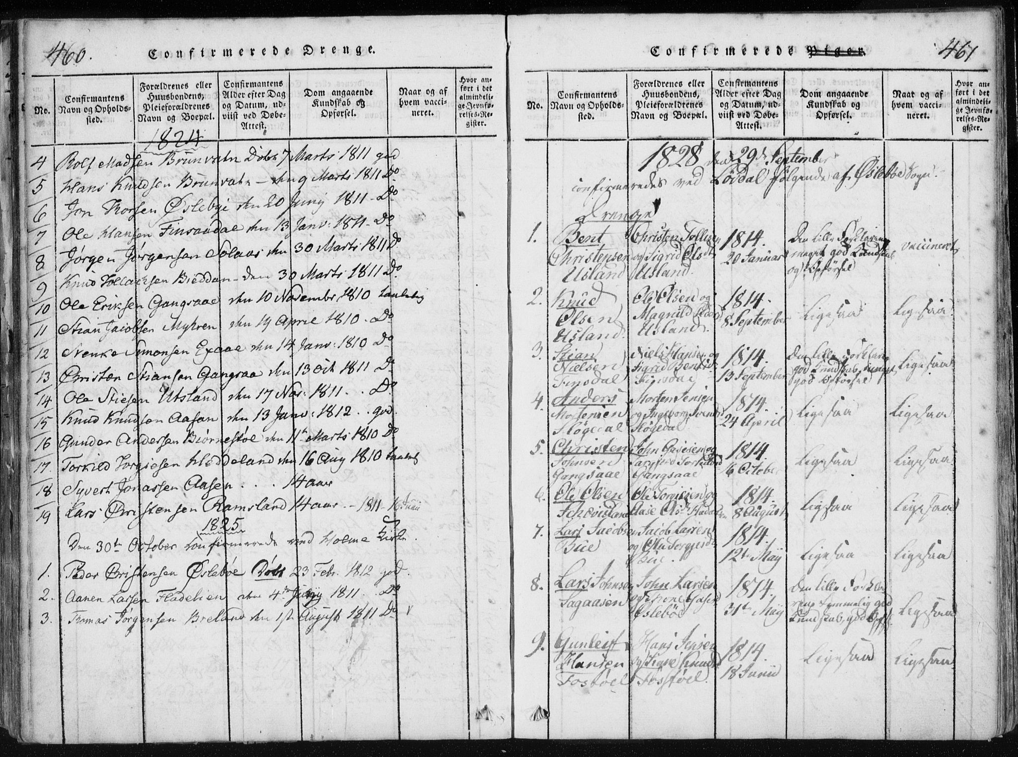 Holum sokneprestkontor, AV/SAK-1111-0022/F/Fa/Fac/L0002: Parish register (official) no. A 2, 1821-1859, p. 460-461