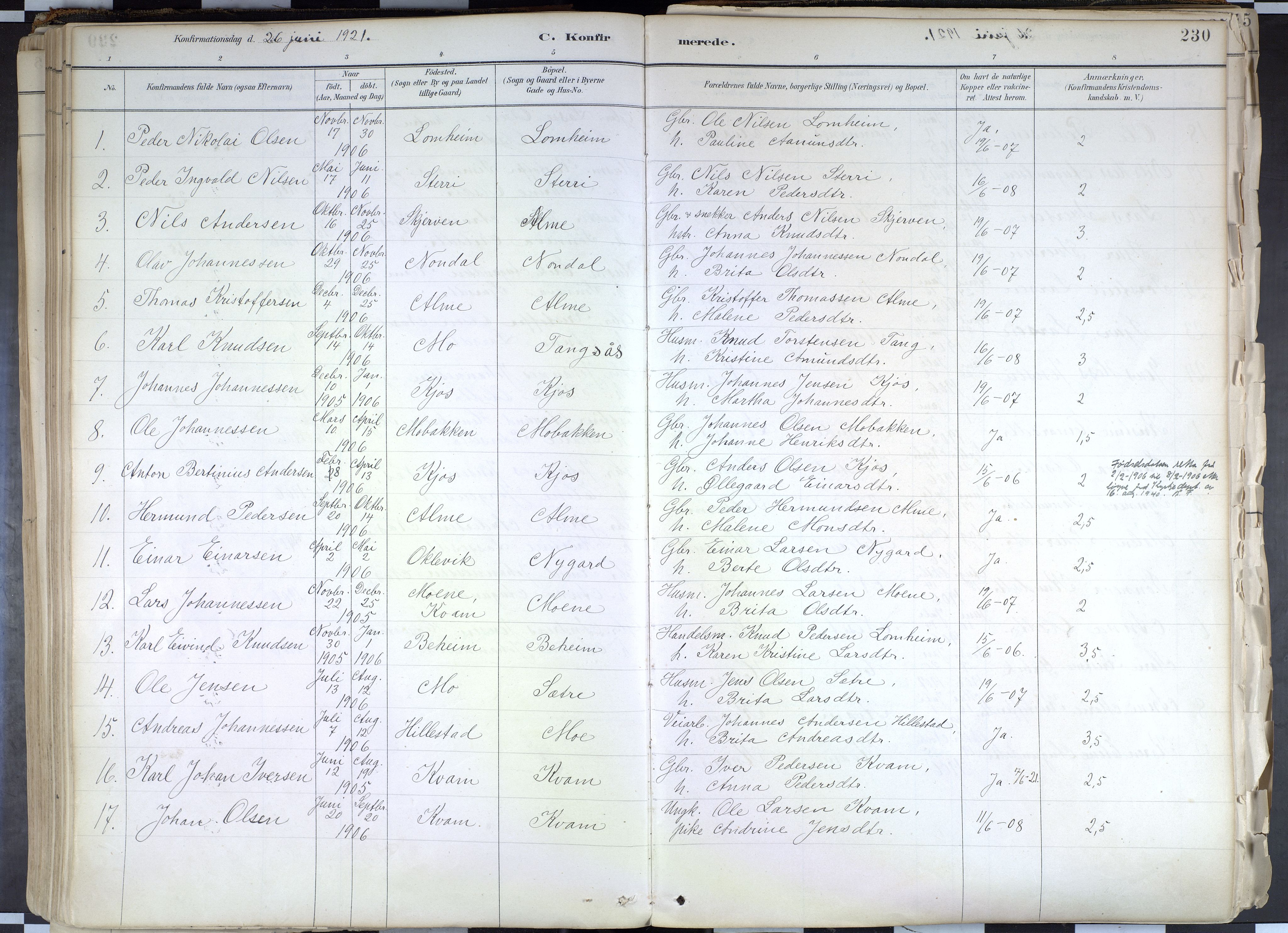 Hafslo sokneprestembete, AV/SAB-A-80301/H/Haa/Haab/L0001: Parish register (official) no. B 1, 1886-1945, p. 230