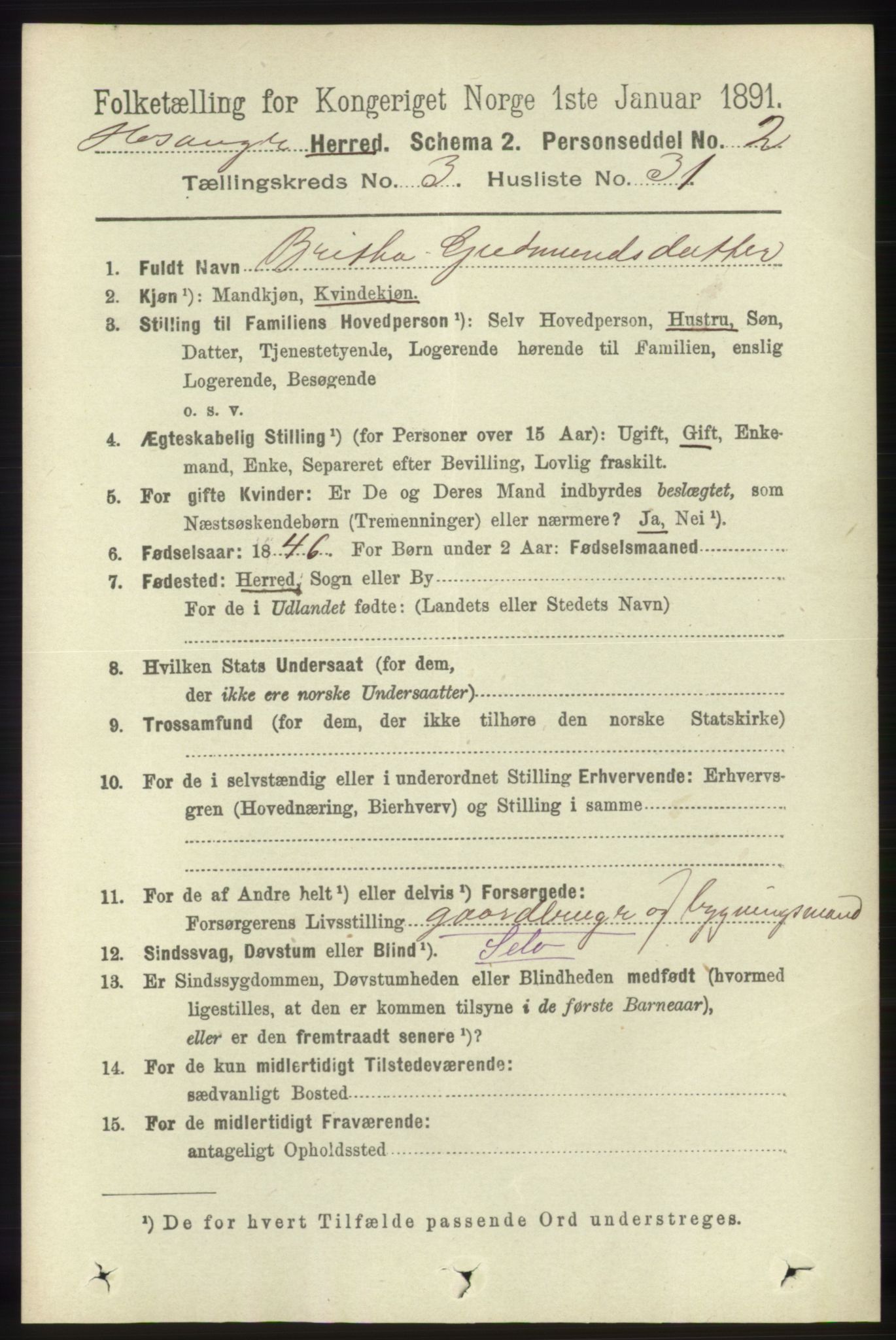 RA, 1891 census for 1253 Hosanger, 1891, p. 1223