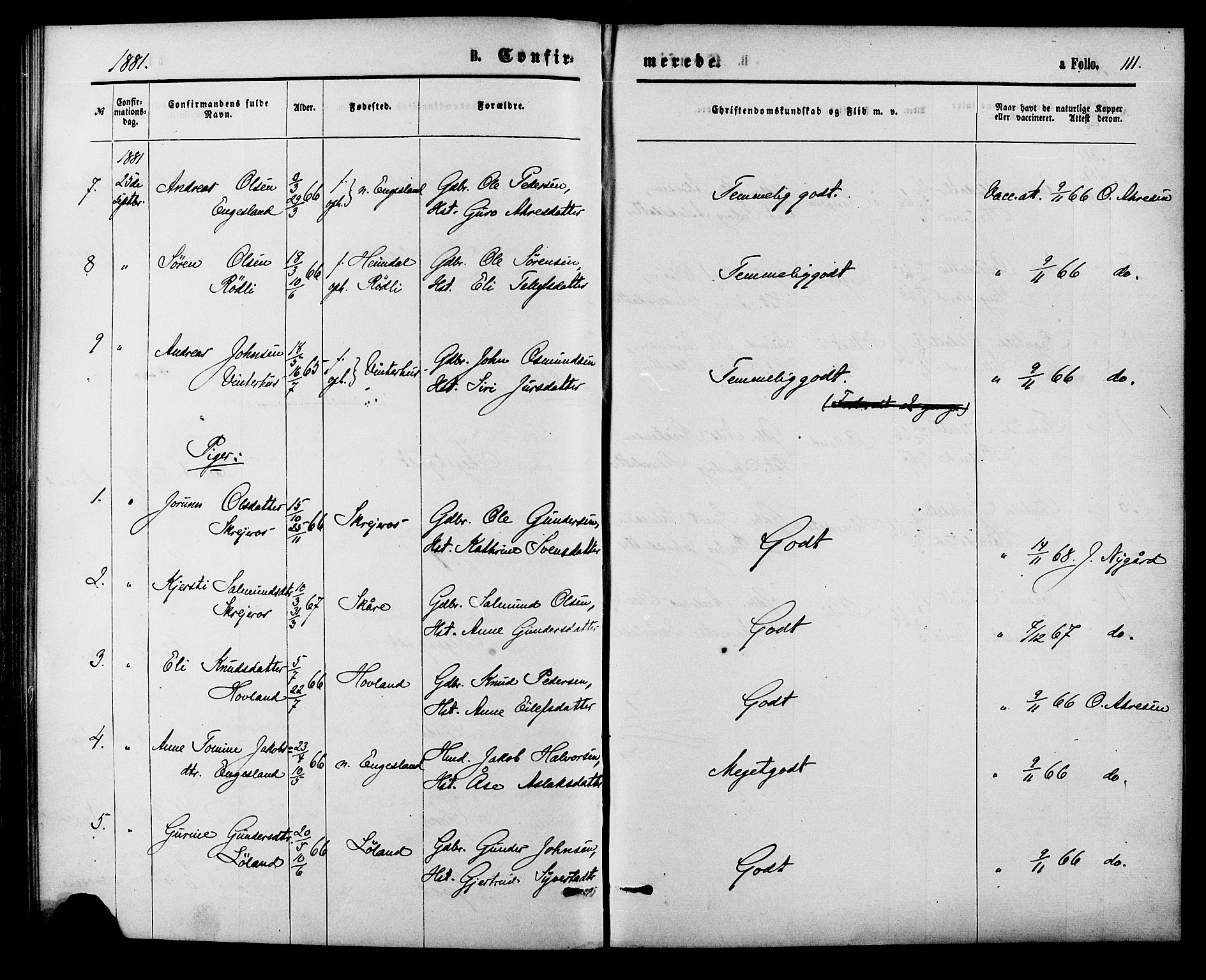 Herefoss sokneprestkontor, AV/SAK-1111-0019/F/Fa/Fab/L0003: Parish register (official) no. A 3, 1875-1886, p. 111