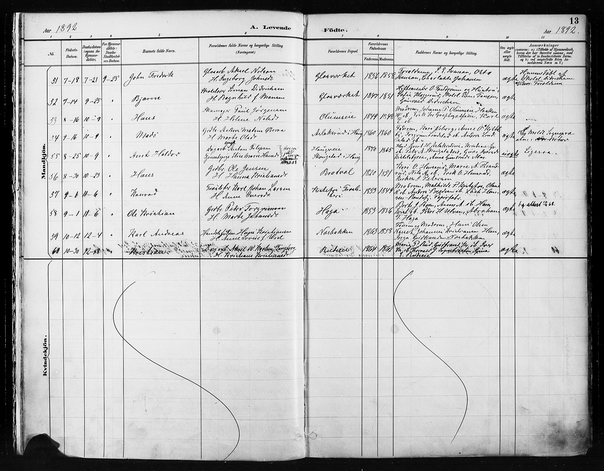 Jevnaker prestekontor, AV/SAH-PREST-116/H/Ha/Haa/L0009: Parish register (official) no. 9, 1891-1901, p. 13