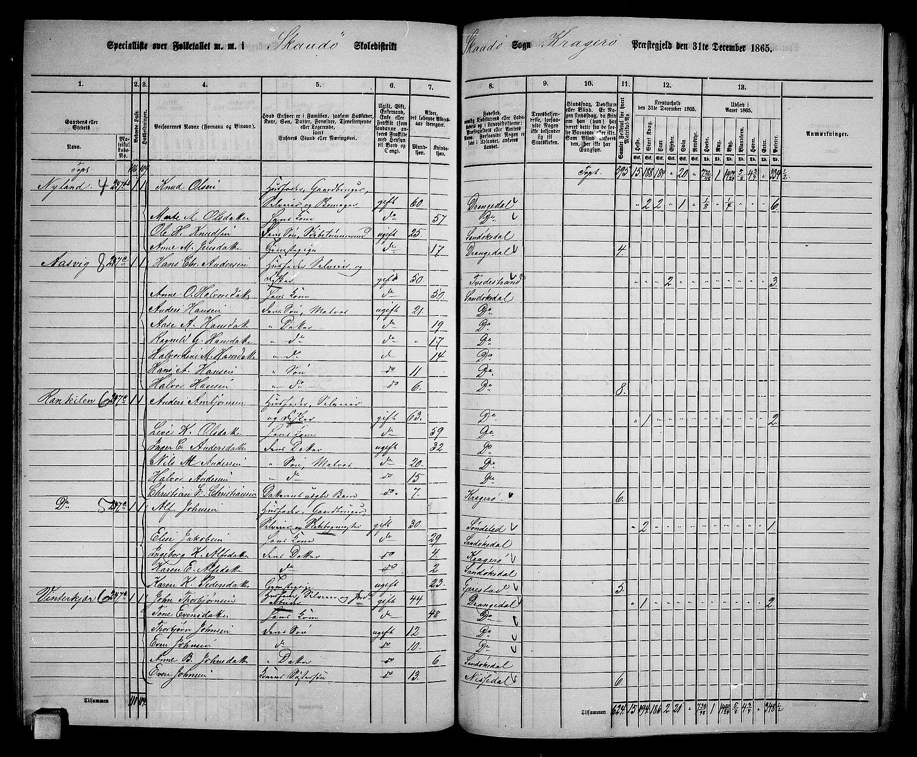 RA, 1865 census for Kragerø/Sannidal og Skåtøy, 1865, p. 200