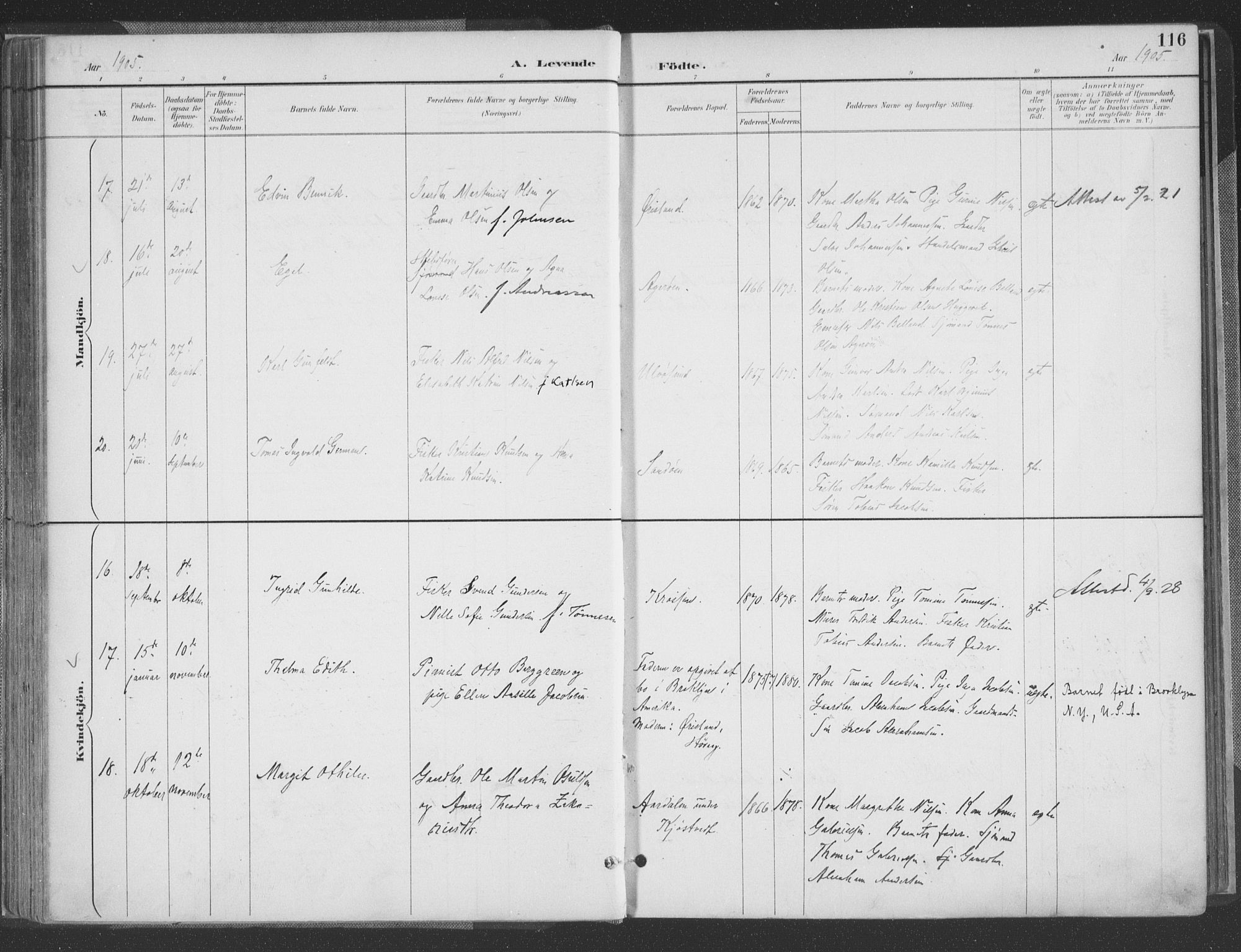Høvåg sokneprestkontor, AV/SAK-1111-0025/F/Fa/L0006: Parish register (official) no. A 6, 1894-1923, p. 116