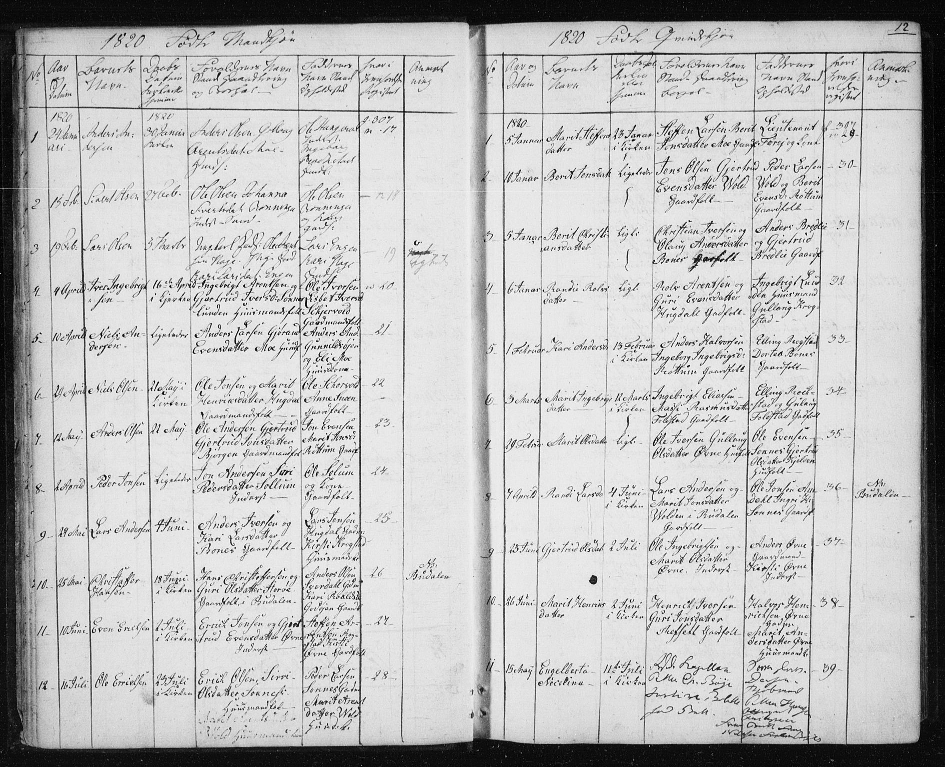 Ministerialprotokoller, klokkerbøker og fødselsregistre - Sør-Trøndelag, SAT/A-1456/687/L1017: Parish register (copy) no. 687C01, 1816-1837, p. 12