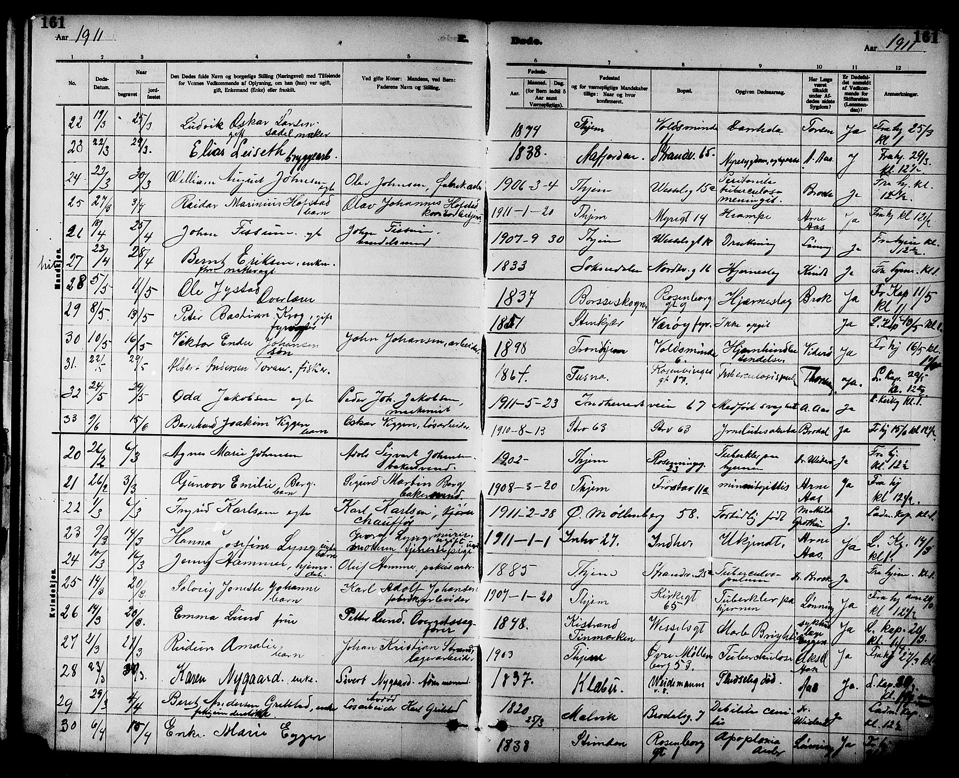 Ministerialprotokoller, klokkerbøker og fødselsregistre - Sør-Trøndelag, AV/SAT-A-1456/605/L0255: Parish register (copy) no. 605C02, 1908-1918, p. 161