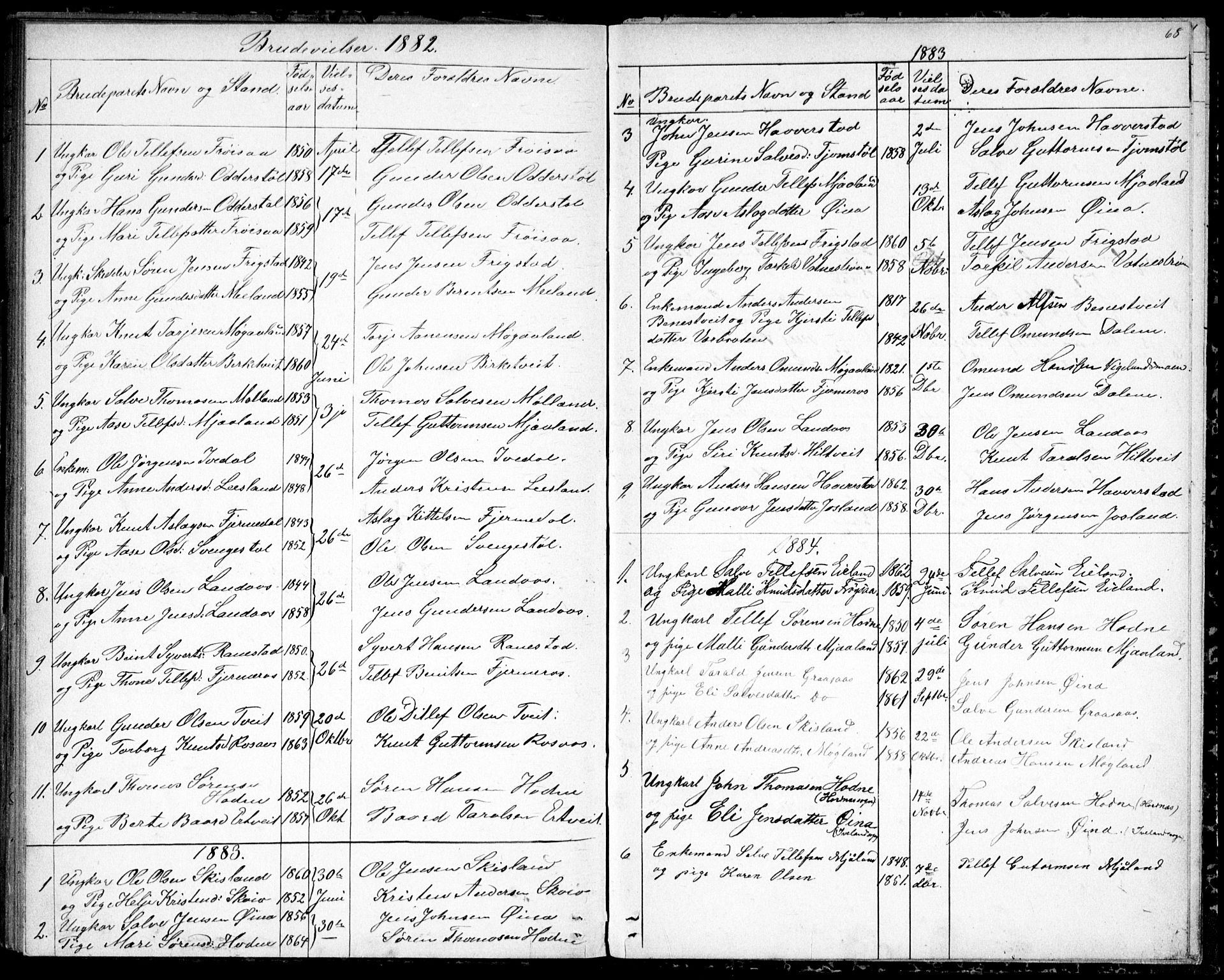 Evje sokneprestkontor, AV/SAK-1111-0008/F/Fb/Fbc/L0003: Parish register (copy) no. B 3, 1876-1889, p. 68