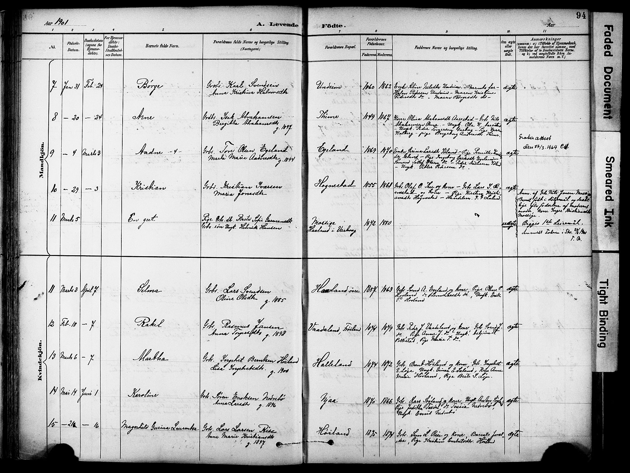 Lye sokneprestkontor, AV/SAST-A-101794/001/30BA/L0011: Parish register (official) no. A 9, 1893-1903, p. 94