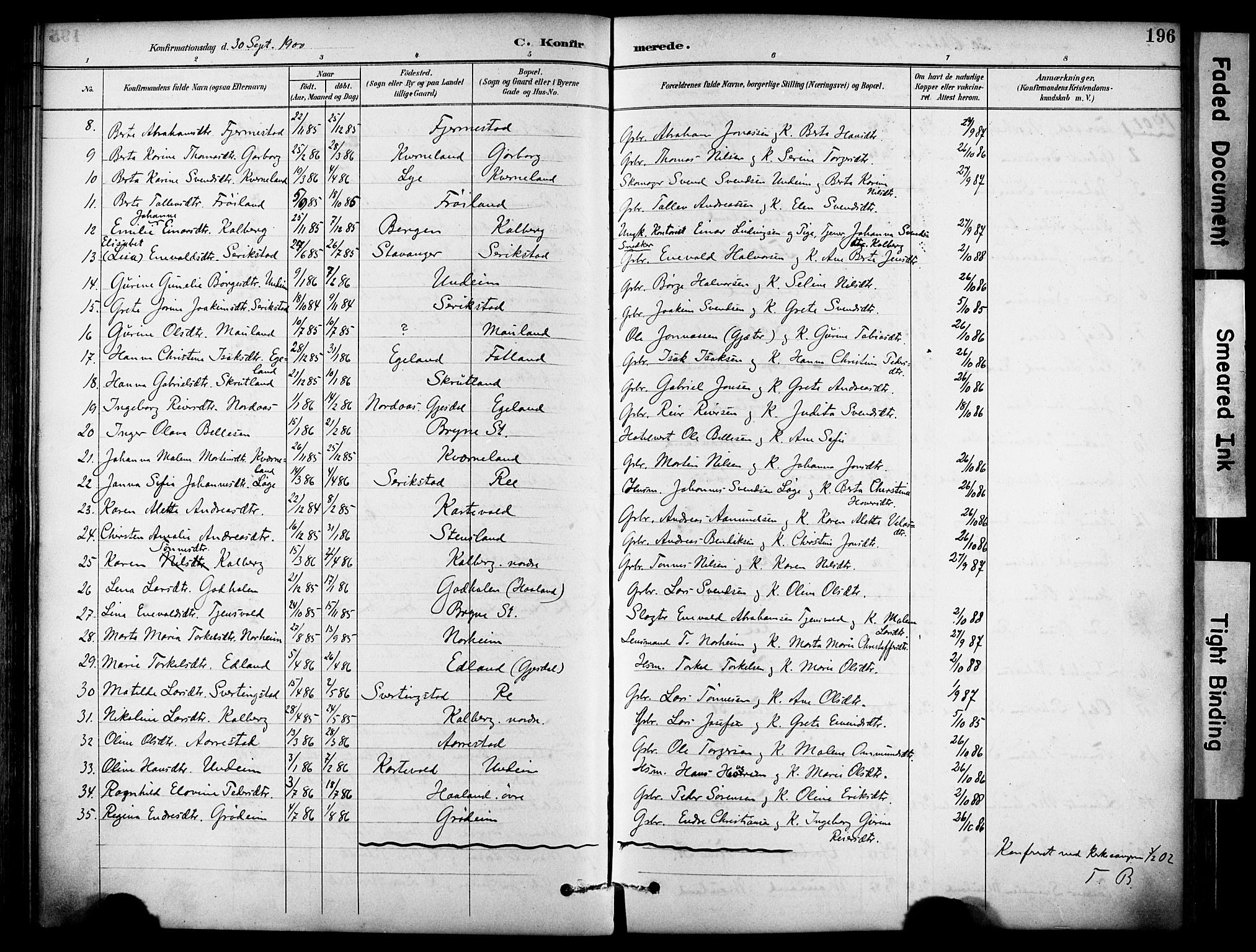 Lye sokneprestkontor, AV/SAST-A-101794/001/30BA/L0011: Parish register (official) no. A 9, 1893-1903, p. 196