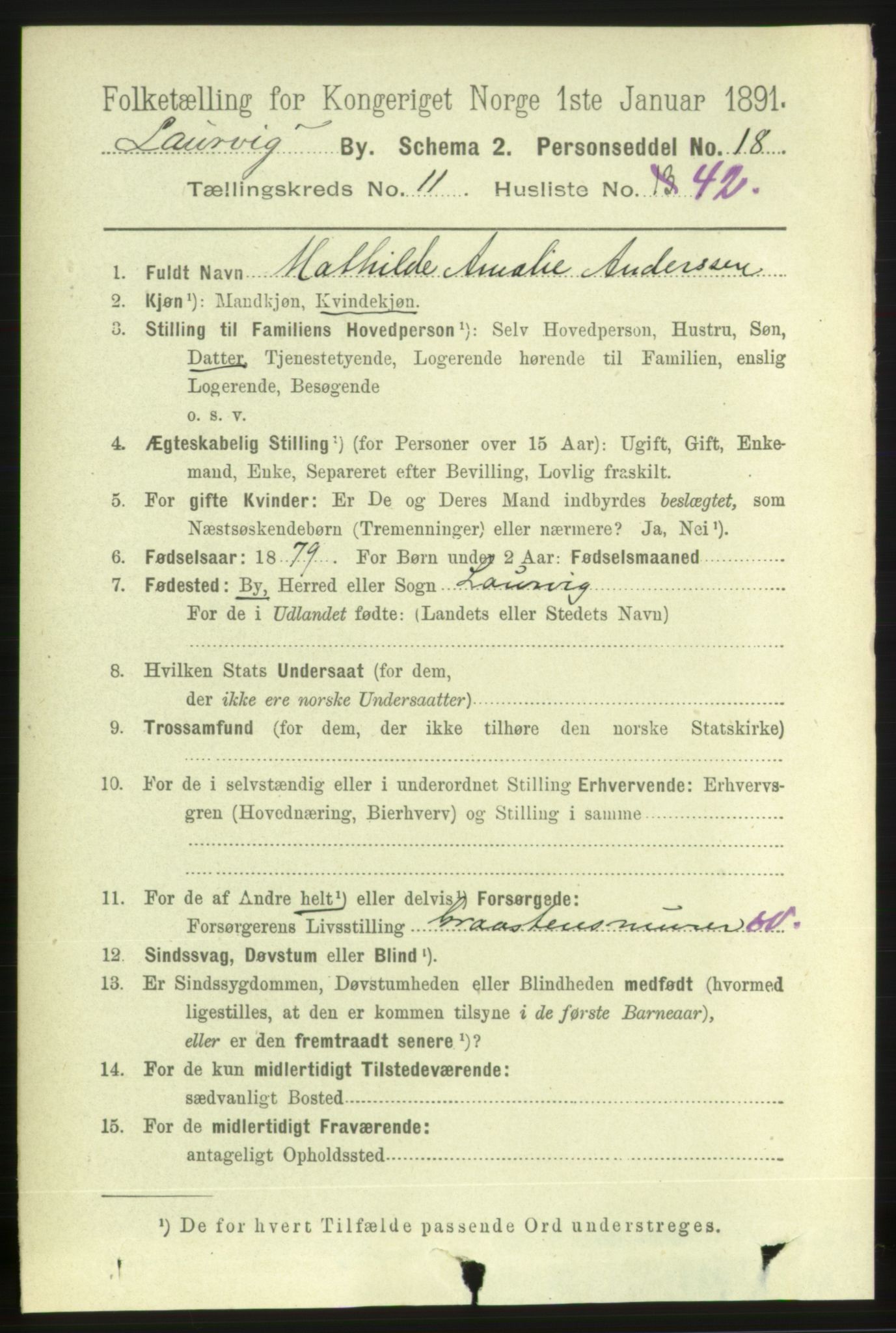 RA, 1891 census for 0707 Larvik, 1891, p. 10119