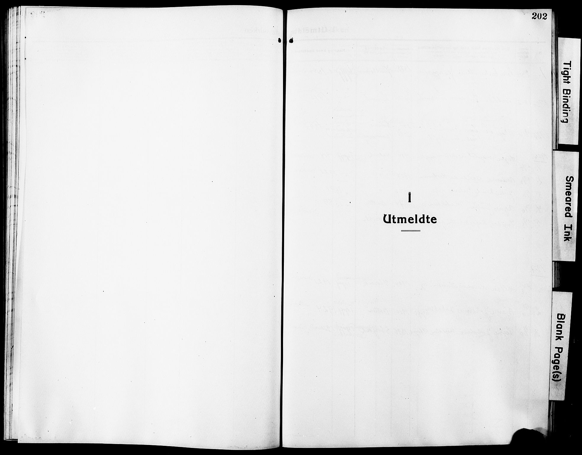 Ministerialprotokoller, klokkerbøker og fødselsregistre - Nordland, SAT/A-1459/861/L0878: Parish register (copy) no. 861C04, 1917-1928, p. 202