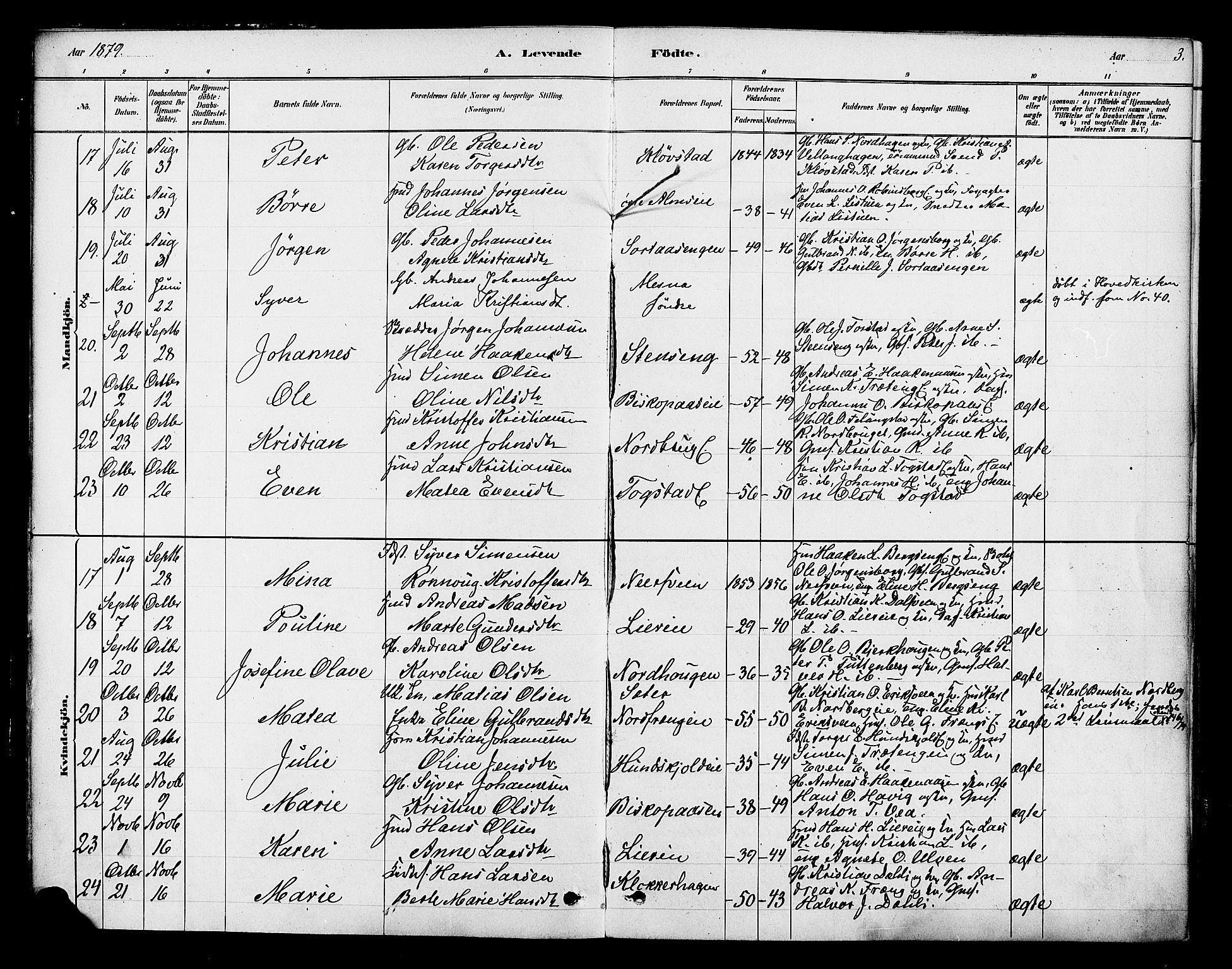 Ringsaker prestekontor, AV/SAH-PREST-014/K/Ka/L0013: Parish register (official) no. 13, 1879-1890, p. 3