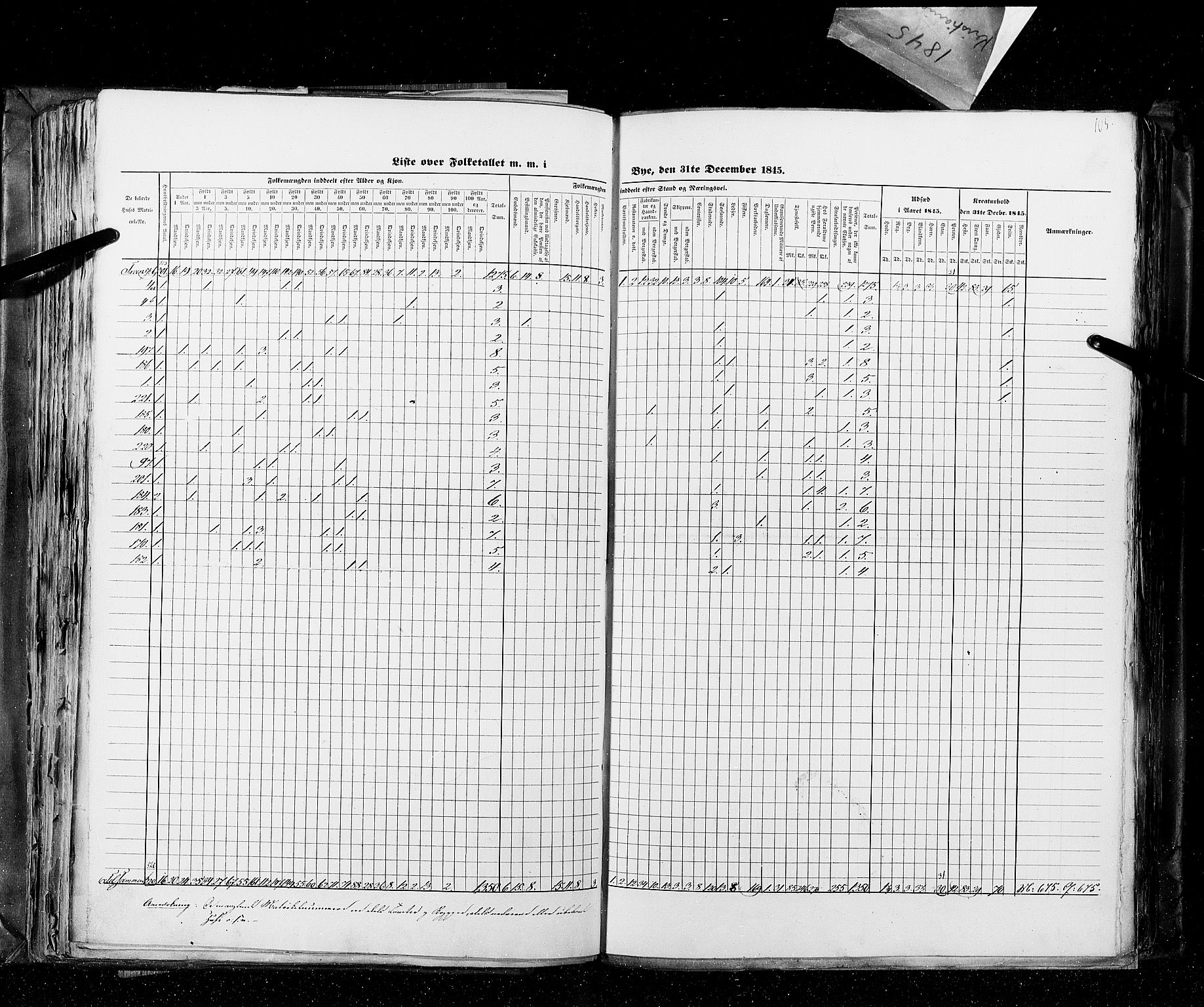 RA, Census 1845, vol. 10: Cities, 1845, p. 105