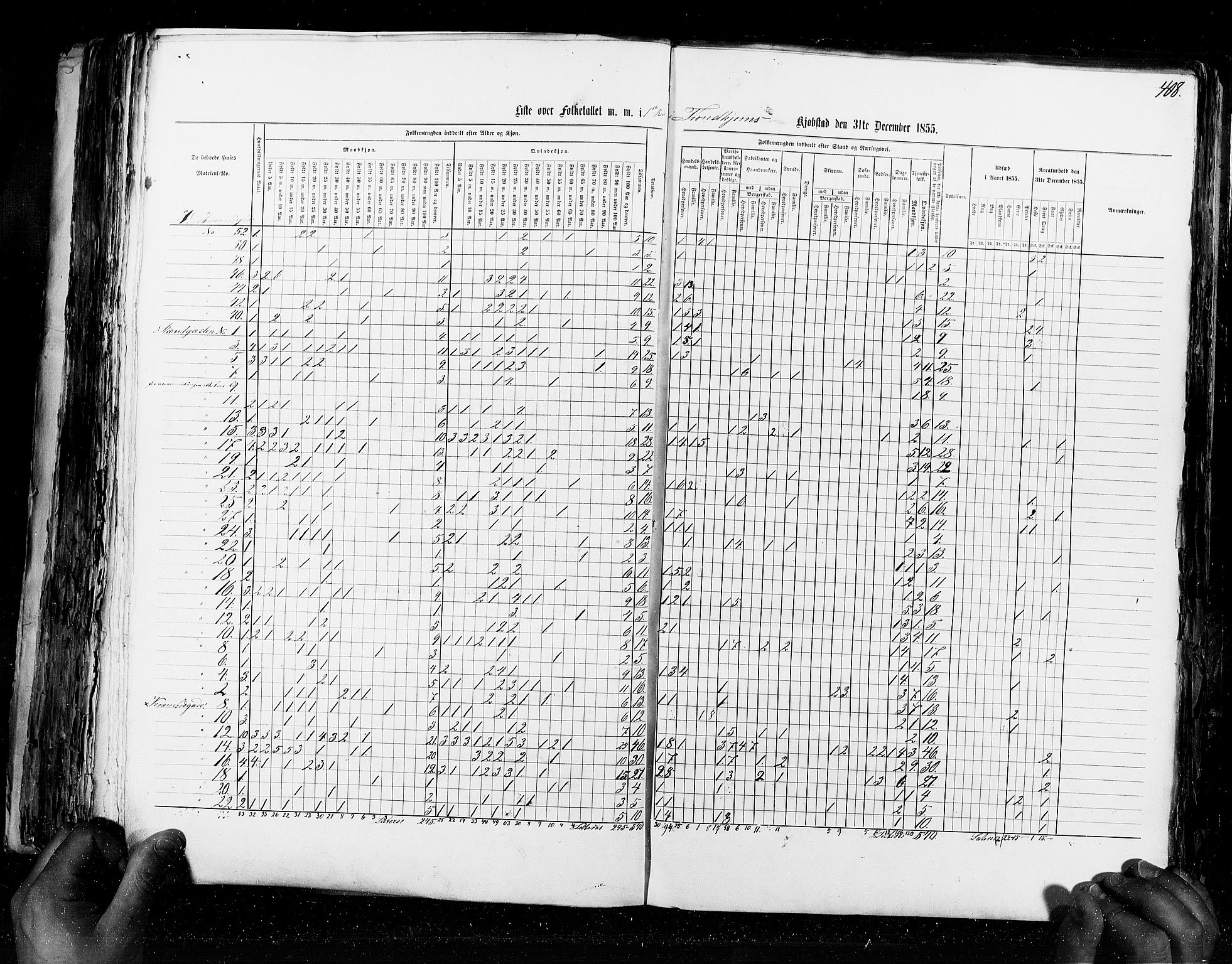 RA, Census 1855, vol. 8: Risør-Vadsø, 1855, p. 408