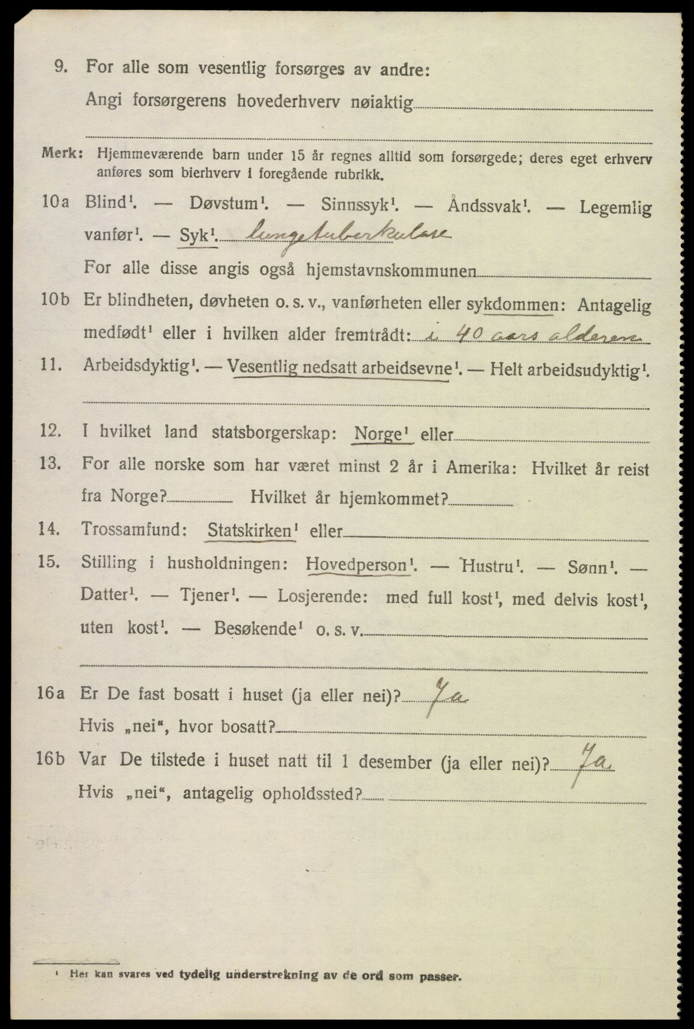 SAK, 1920 census for Hornnes, 1920, p. 702