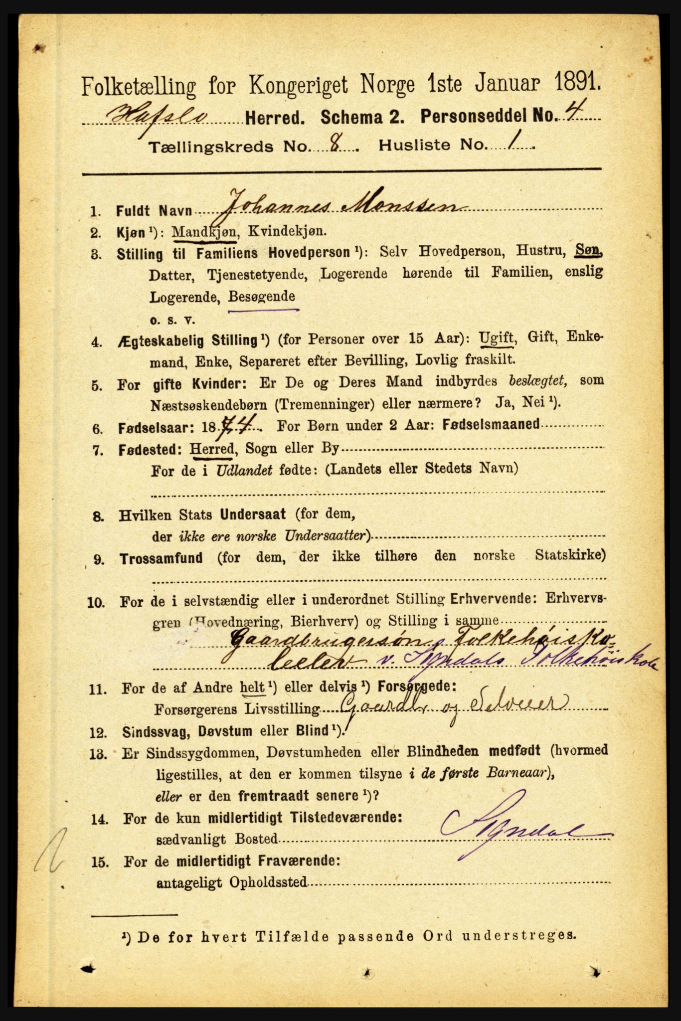 RA, 1891 census for 1425 Hafslo, 1891, p. 3181