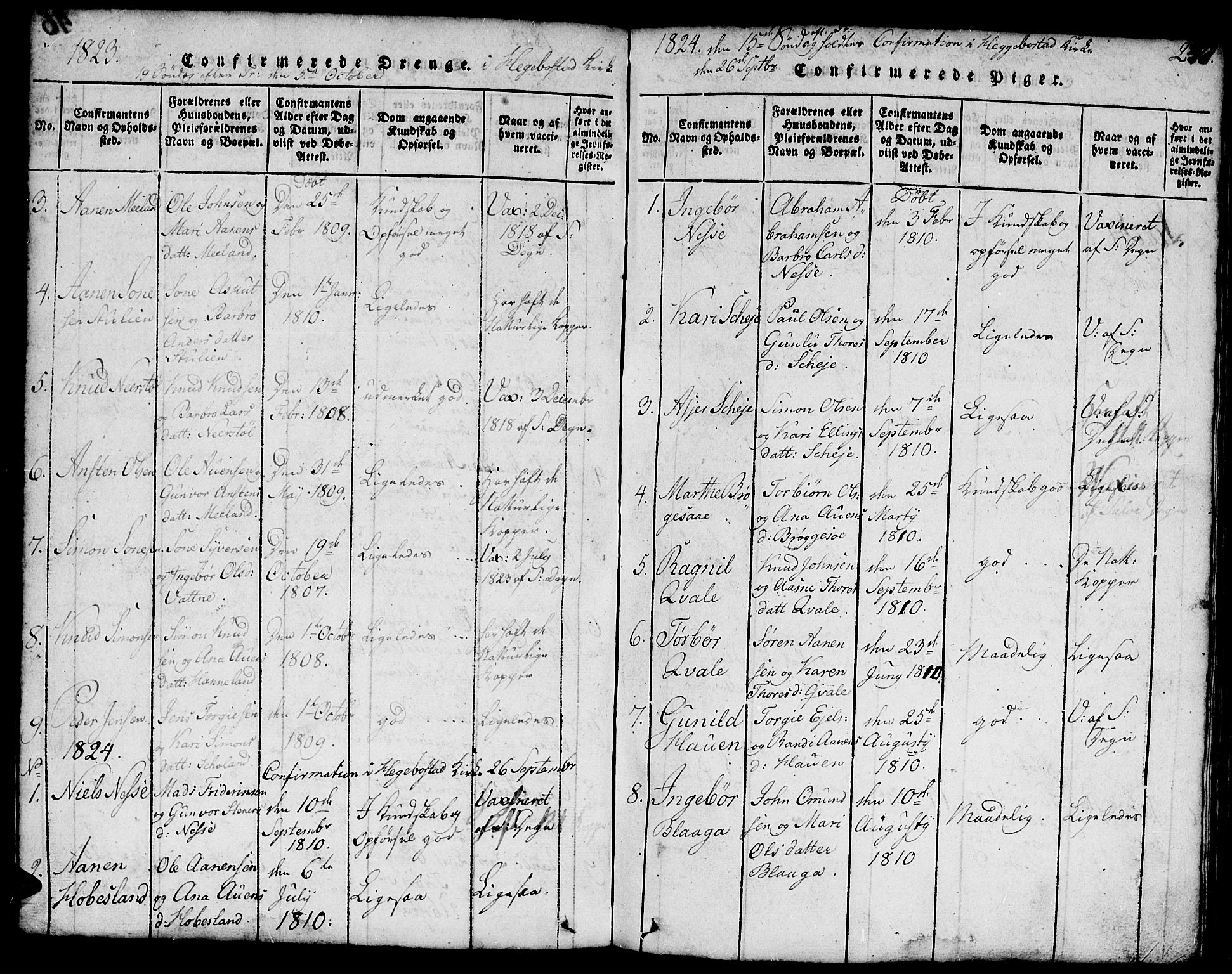 Hægebostad sokneprestkontor, SAK/1111-0024/F/Fb/Fbb/L0001: Parish register (copy) no. B 1, 1816-1850, p. 247