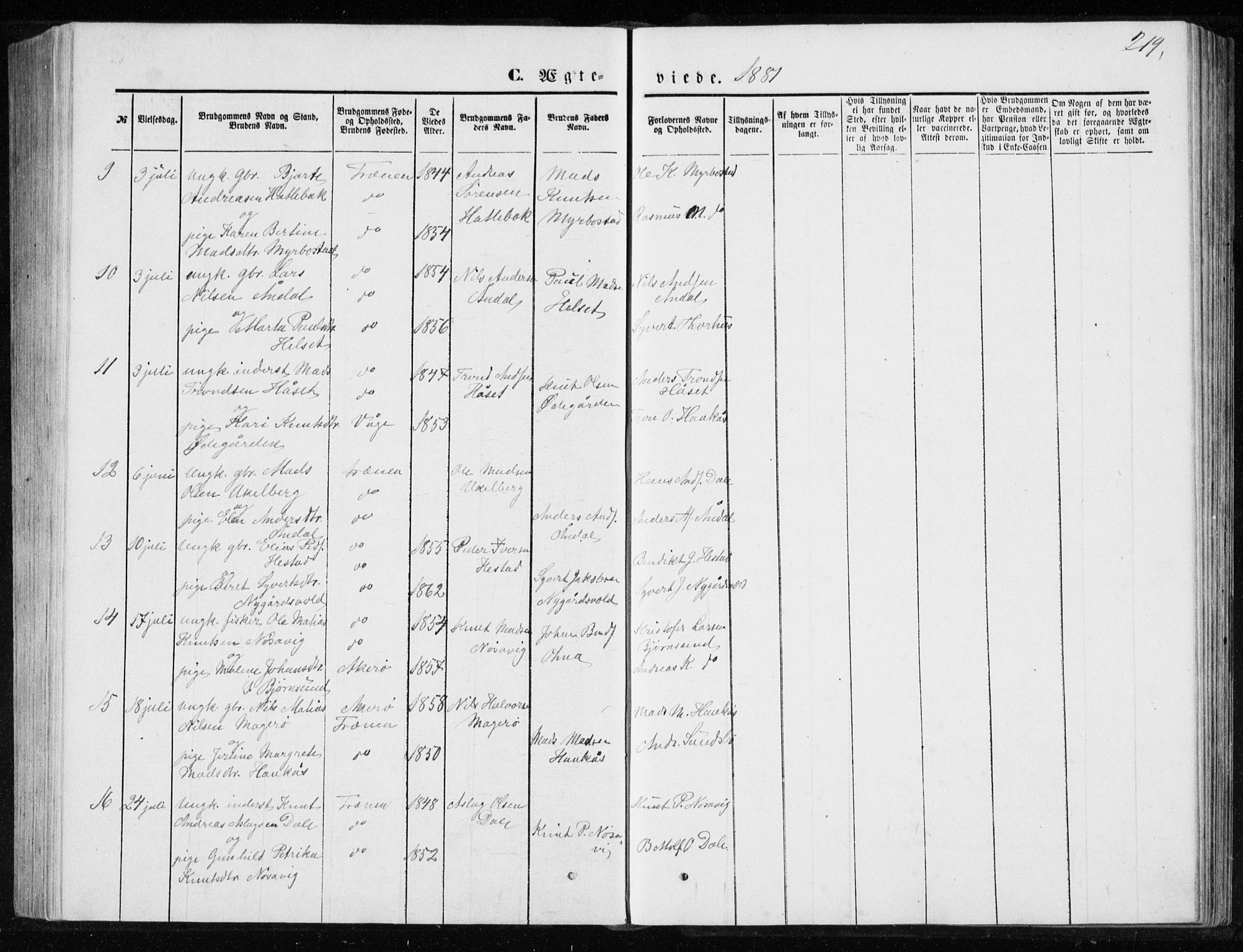 Ministerialprotokoller, klokkerbøker og fødselsregistre - Møre og Romsdal, AV/SAT-A-1454/565/L0754: Parish register (copy) no. 565C03, 1870-1896, p. 219