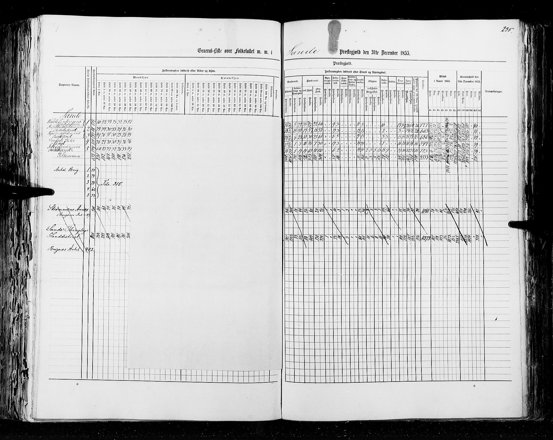 RA, Census 1855, vol. 2: Kristians amt, Buskerud amt og Jarlsberg og Larvik amt, 1855, p. 235