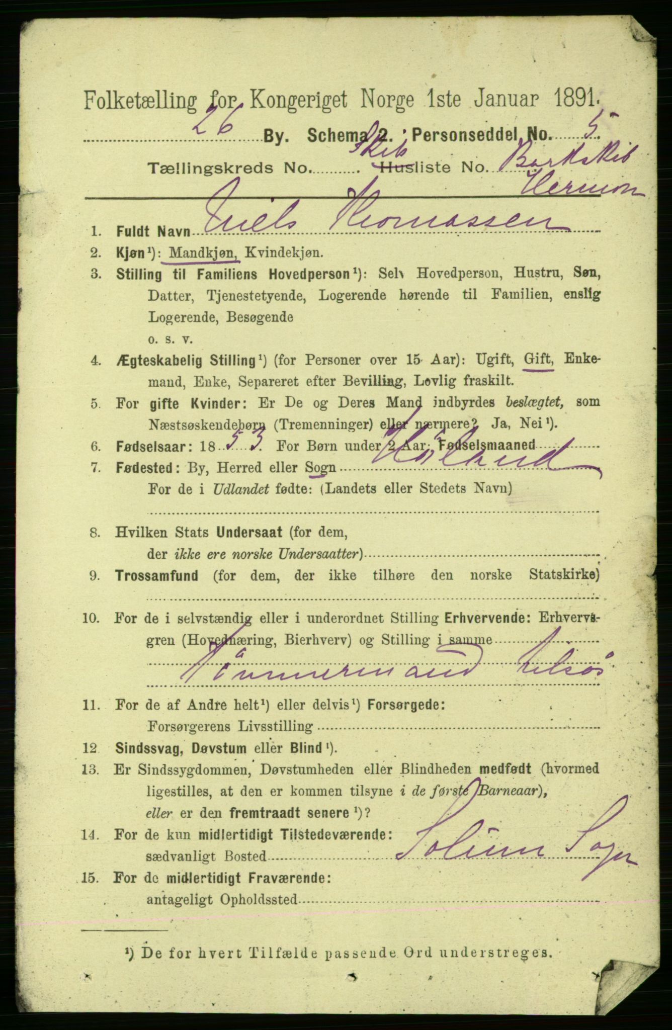 RA, 1891 census for 0802 Langesund, 1891, p. 1800