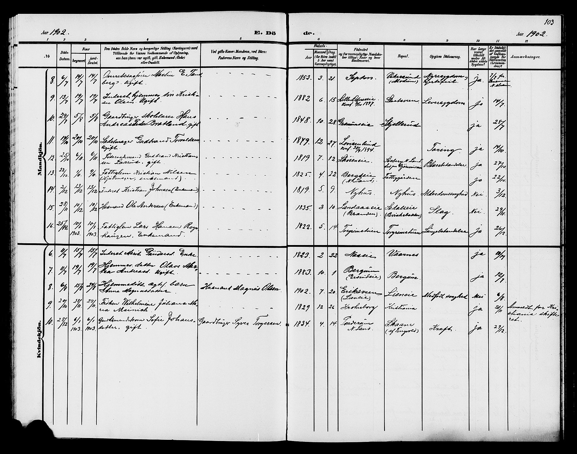 Søndre Land prestekontor, AV/SAH-PREST-122/L/L0005: Parish register (copy) no. 5, 1902-1911, p. 103