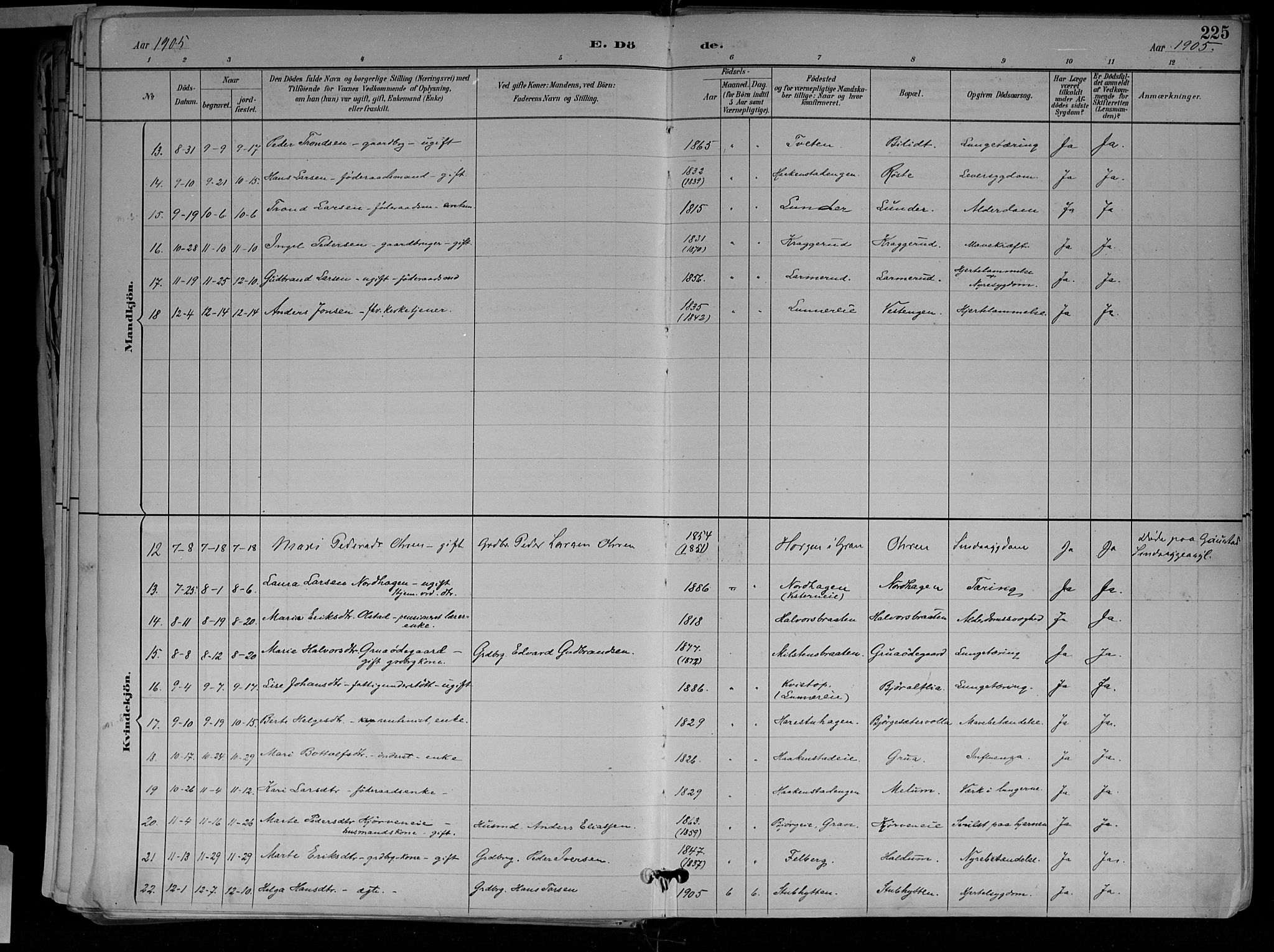 Jevnaker prestekontor, SAH/PREST-116/H/Ha/Haa/L0010: Parish register (official) no. 10, 1891-1906, p. 225