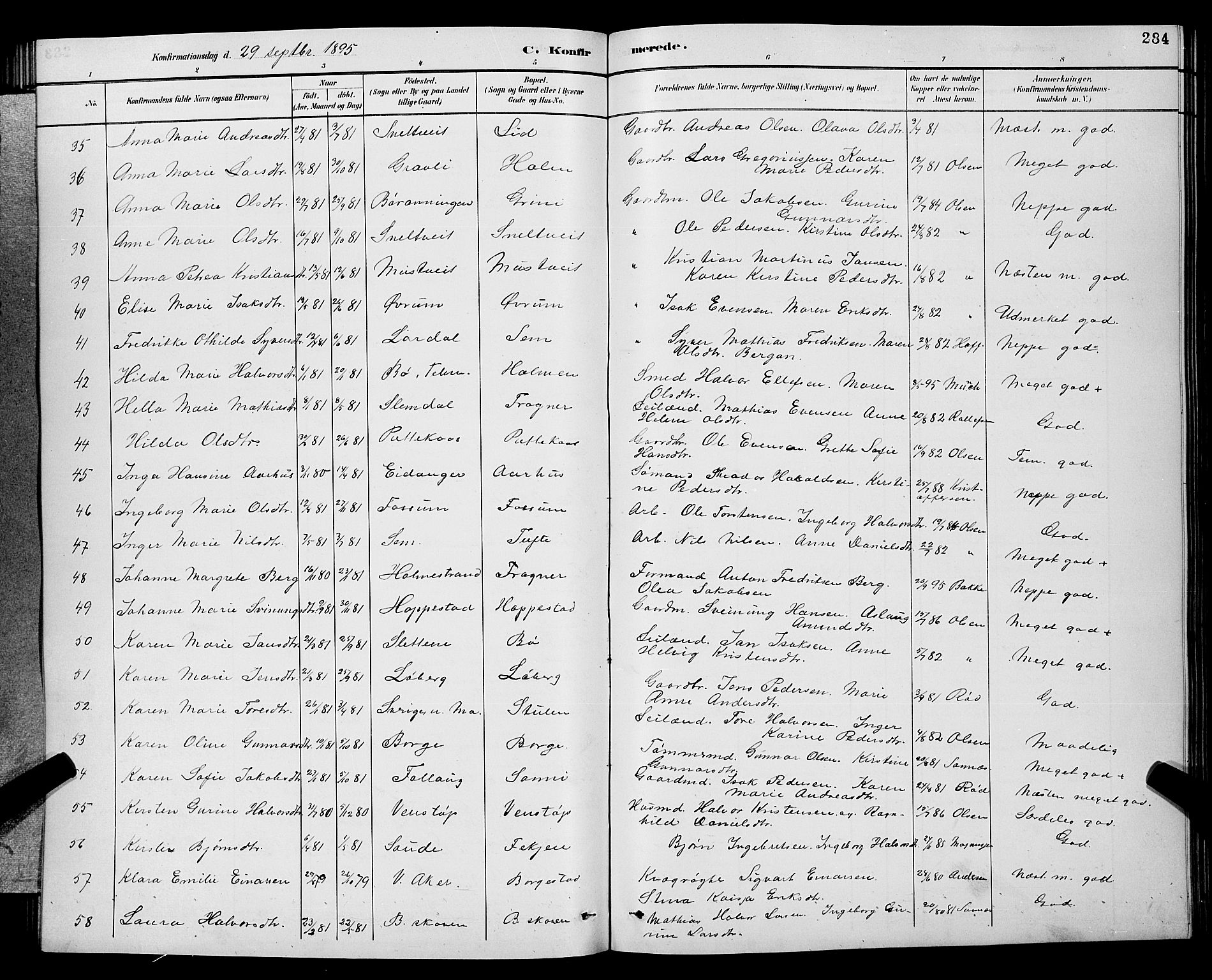Gjerpen kirkebøker, SAKO/A-265/G/Ga/L0002: Parish register (copy) no. I 2, 1883-1900, p. 284