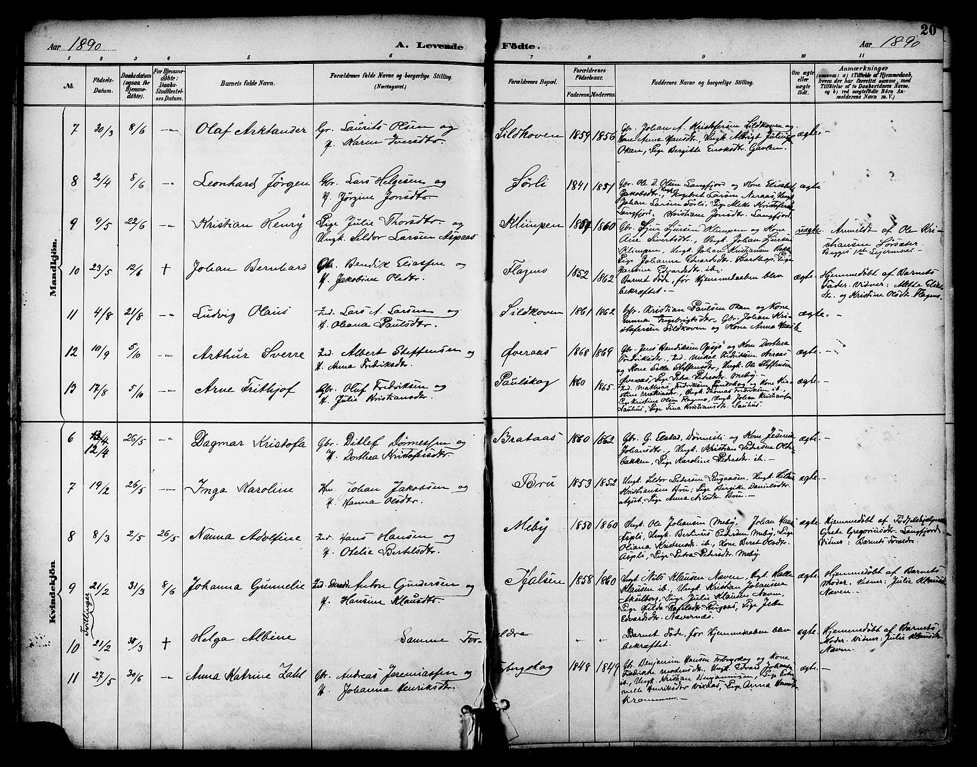 Ministerialprotokoller, klokkerbøker og fødselsregistre - Nordland, AV/SAT-A-1459/814/L0226: Parish register (official) no. 814A07, 1886-1898, p. 20