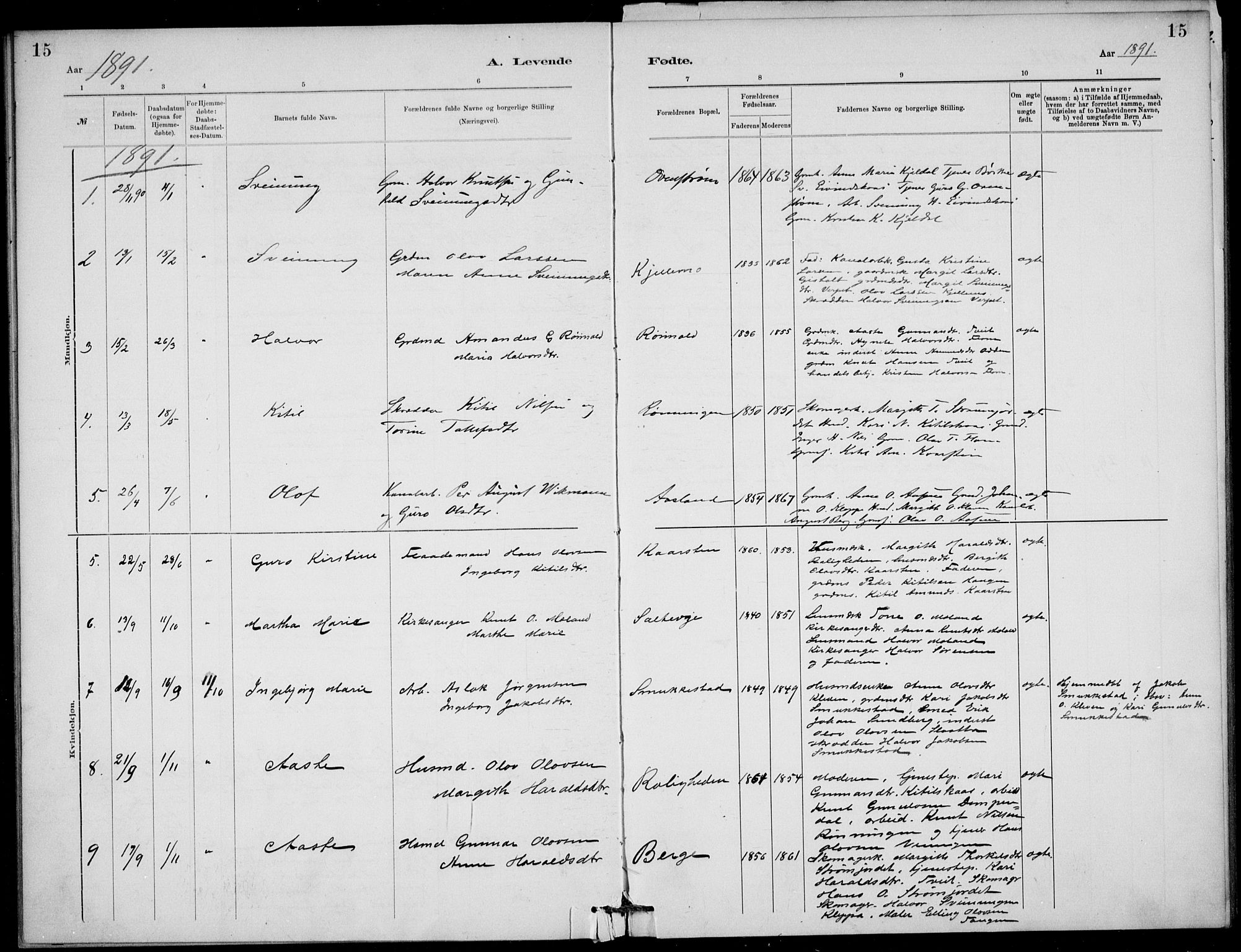 Lunde kirkebøker, AV/SAKO-A-282/F/Fb/L0003: Parish register (official) no. II 3, 1882-1891, p. 15