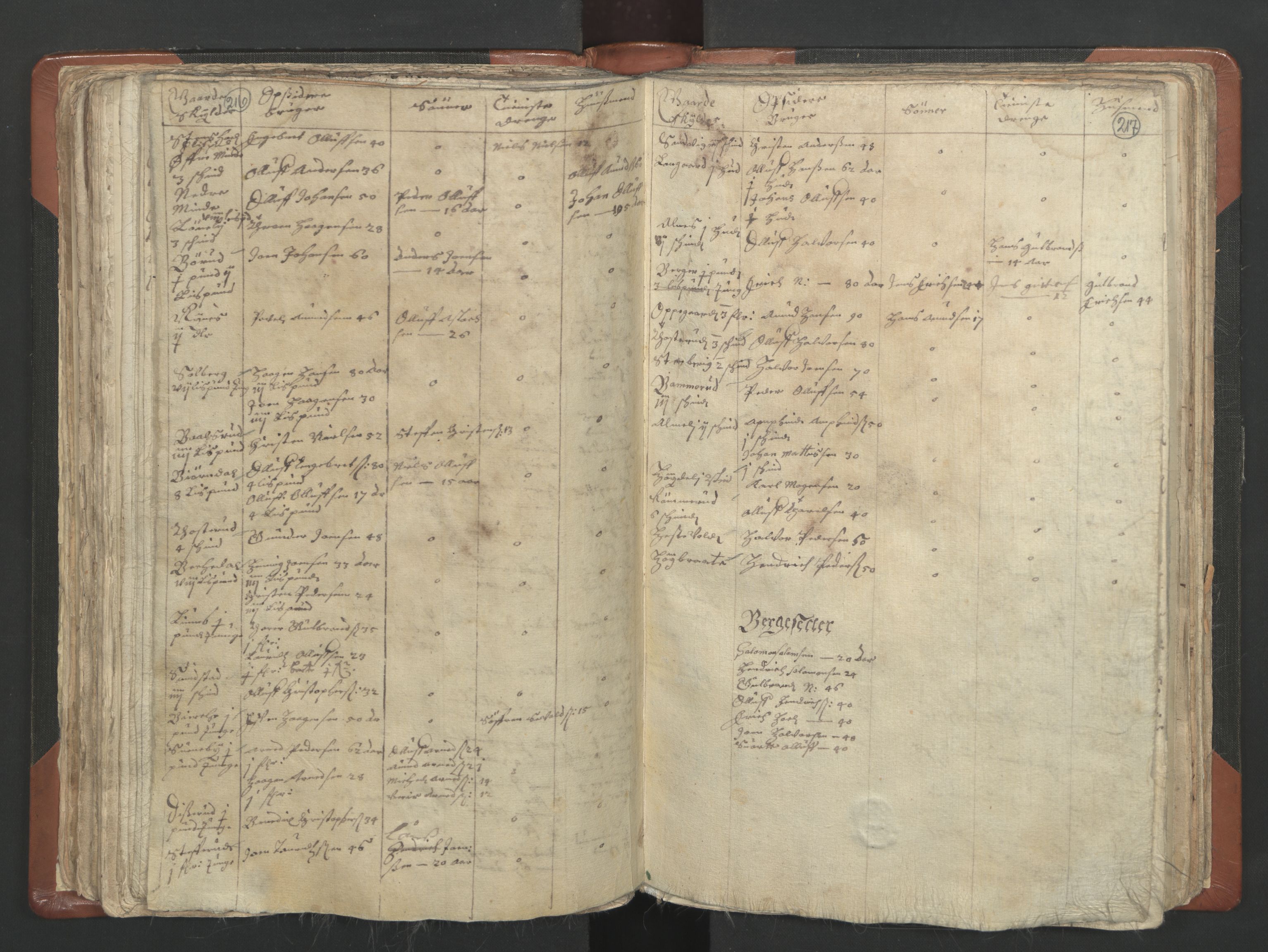 RA, Vicar's Census 1664-1666, no. 4: Øvre Romerike deanery, 1664-1666, p. 216-217