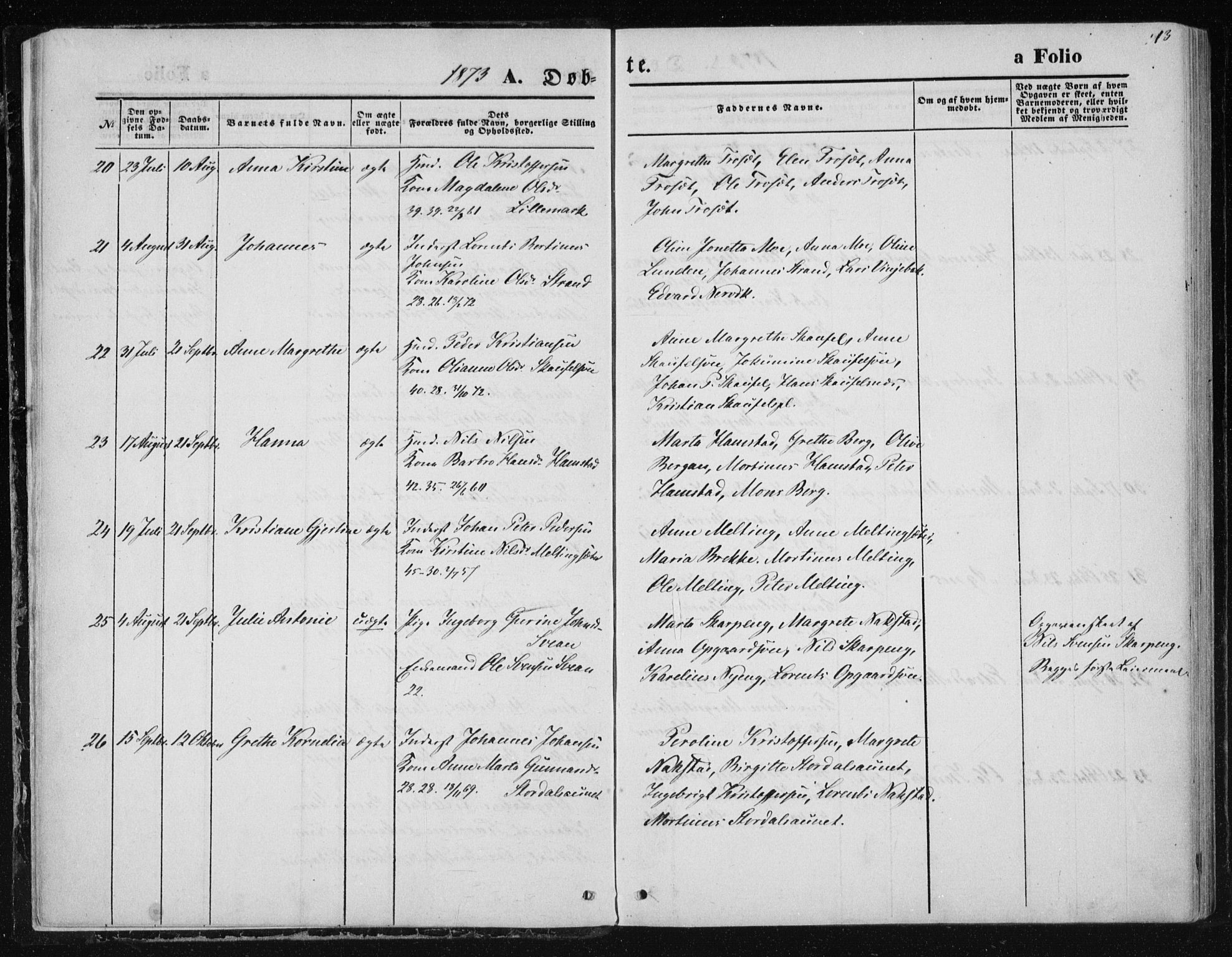 Ministerialprotokoller, klokkerbøker og fødselsregistre - Nord-Trøndelag, AV/SAT-A-1458/733/L0324: Parish register (official) no. 733A03, 1870-1883, p. 13