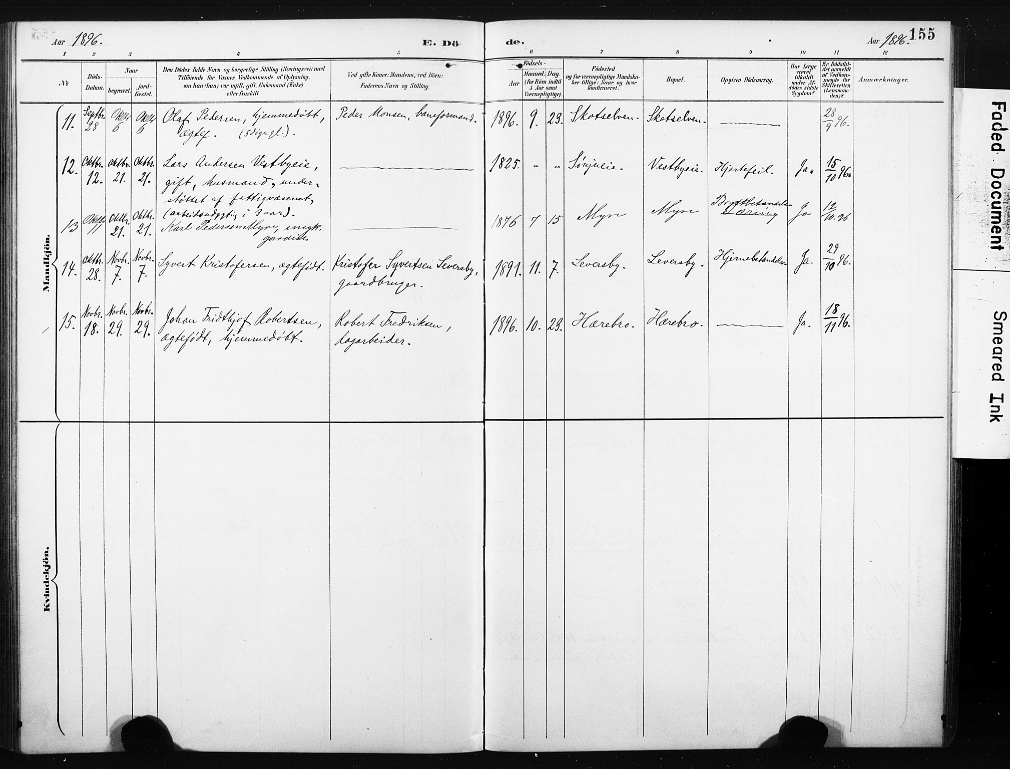 Eiker kirkebøker, SAKO/A-4/F/Fc/L0002: Parish register (official) no. III 2, 1889-1897, p. 155